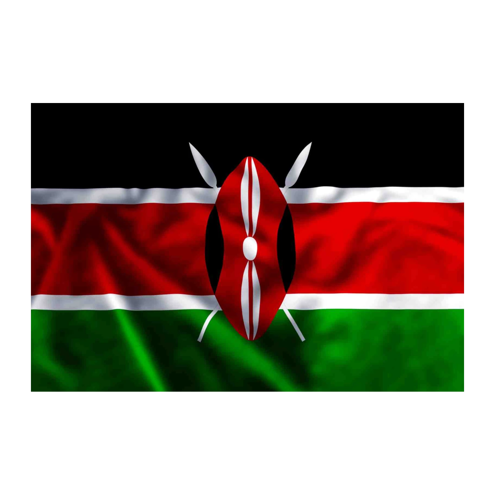 Kenya Flag & Maasai Shield Wall Art
