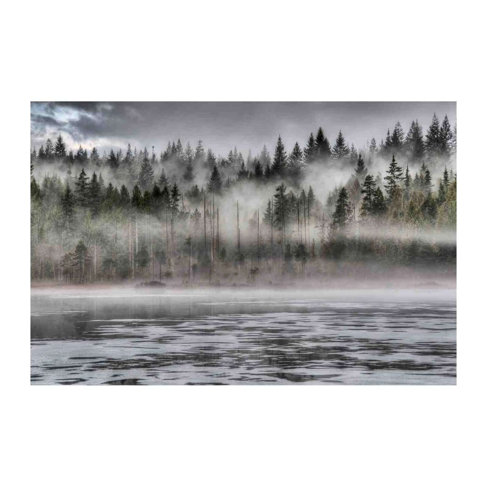 Misty Forest Lake Wall Art