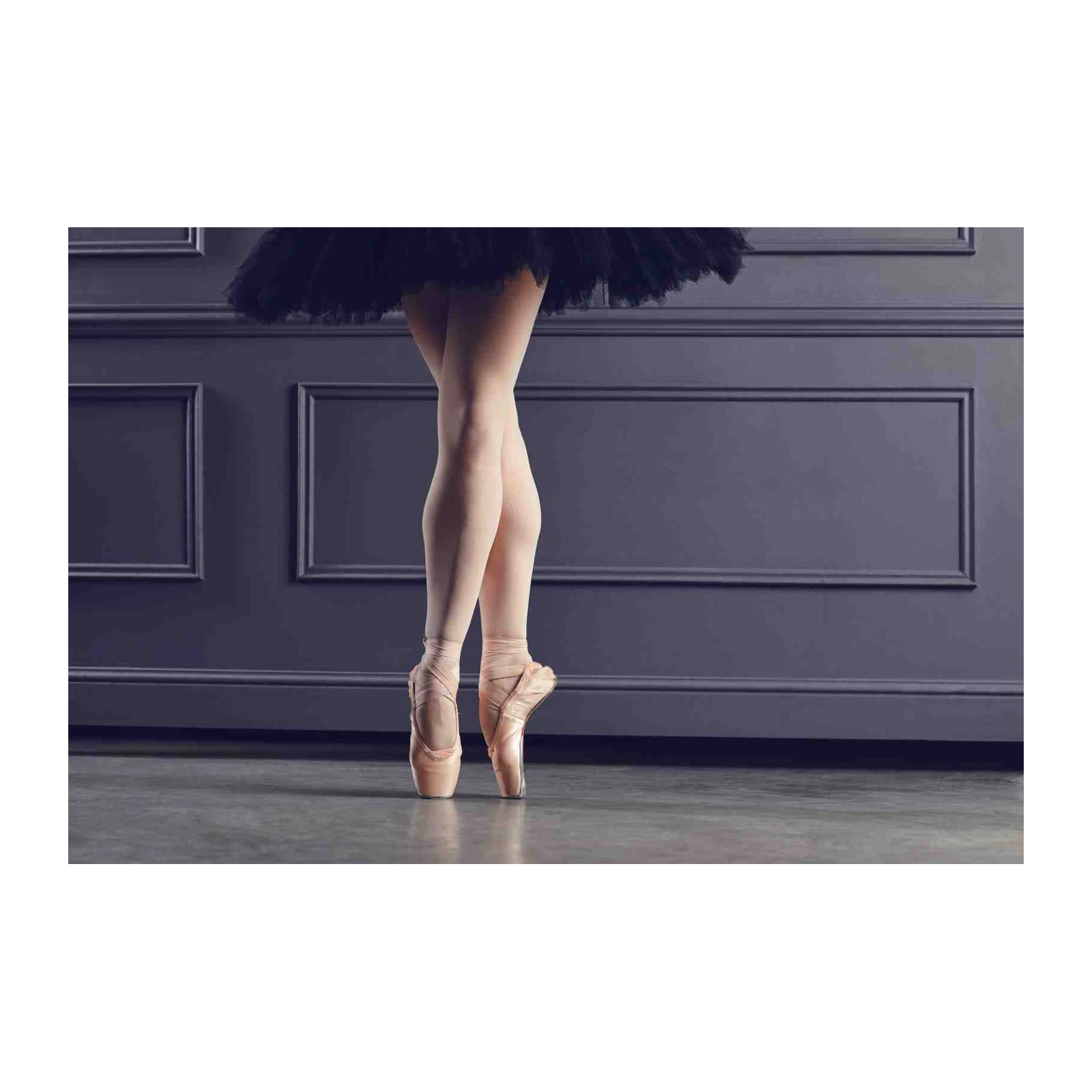 Elegant Dancer Legs Black Tutu Wall Art