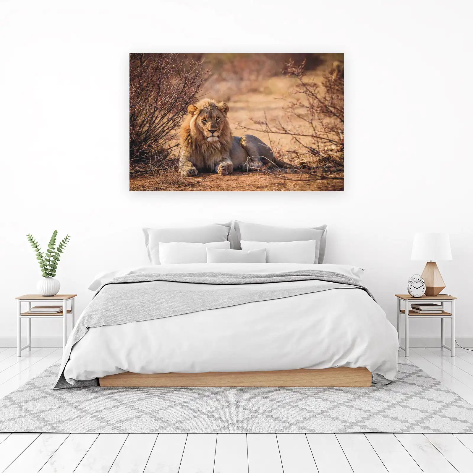 Majestic Lion King African Safari Wall Art
