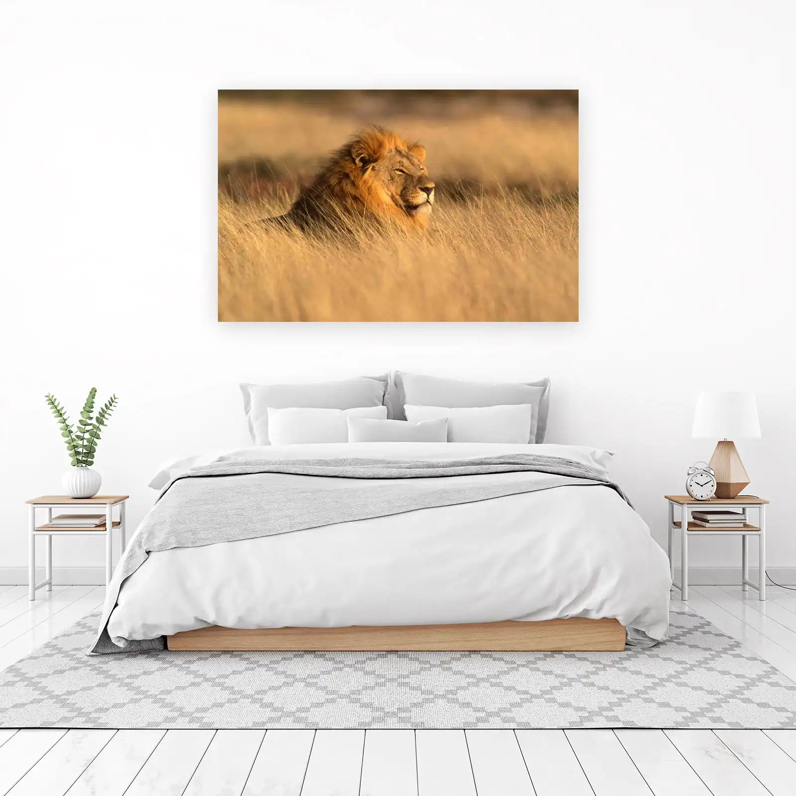 Majestic Lion in Golden Grass Wall Art