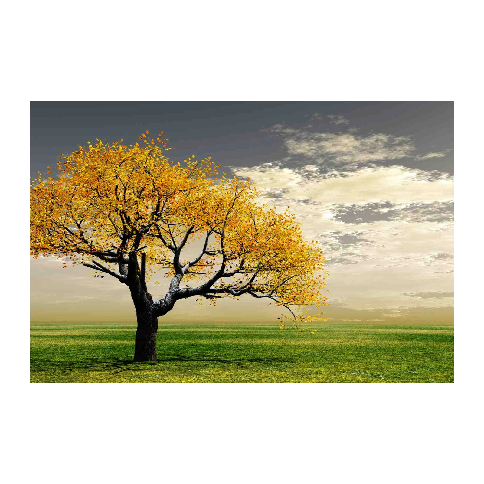 Vibrant Autumn Tree Wall Art