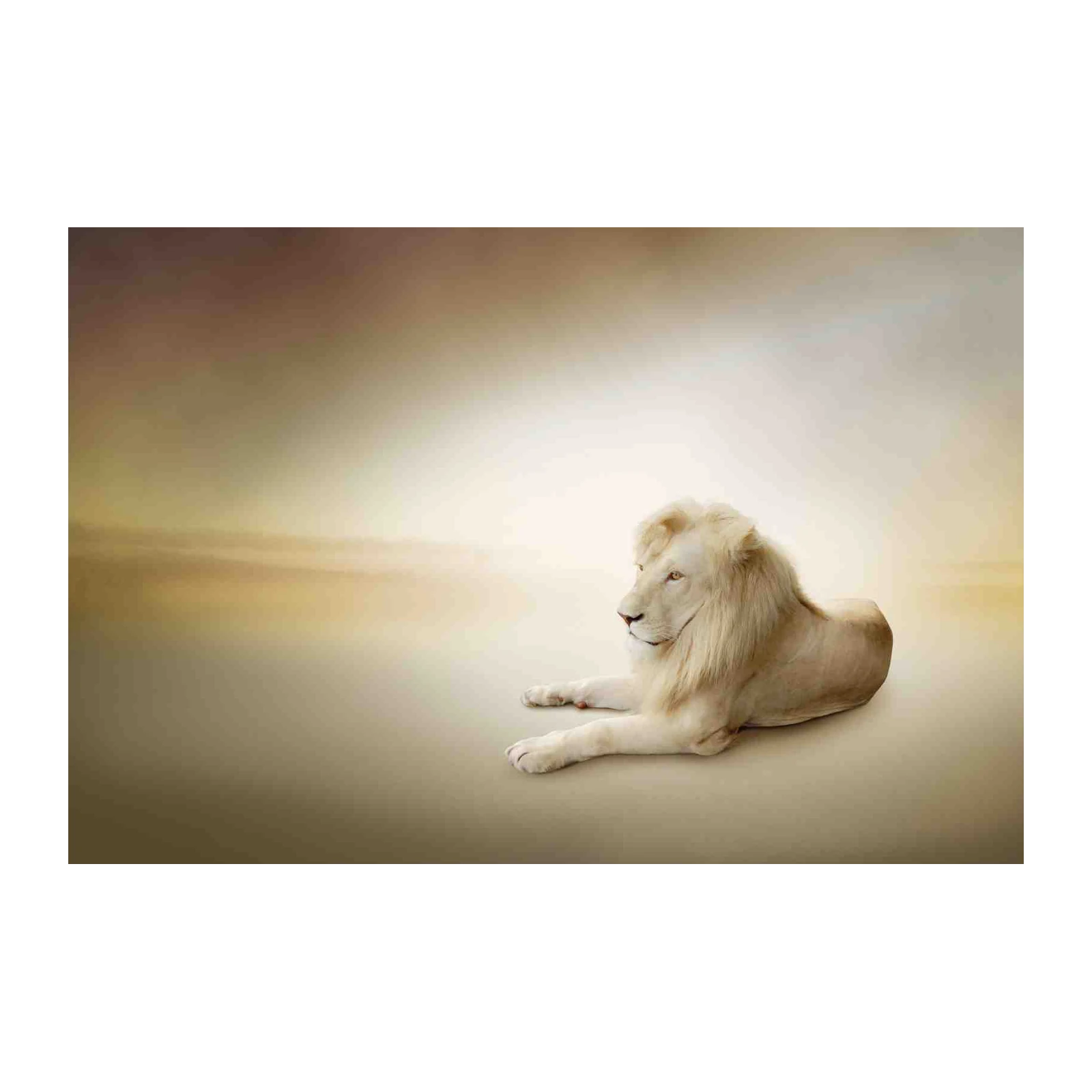Majestic White Lion Serenity Wall Art