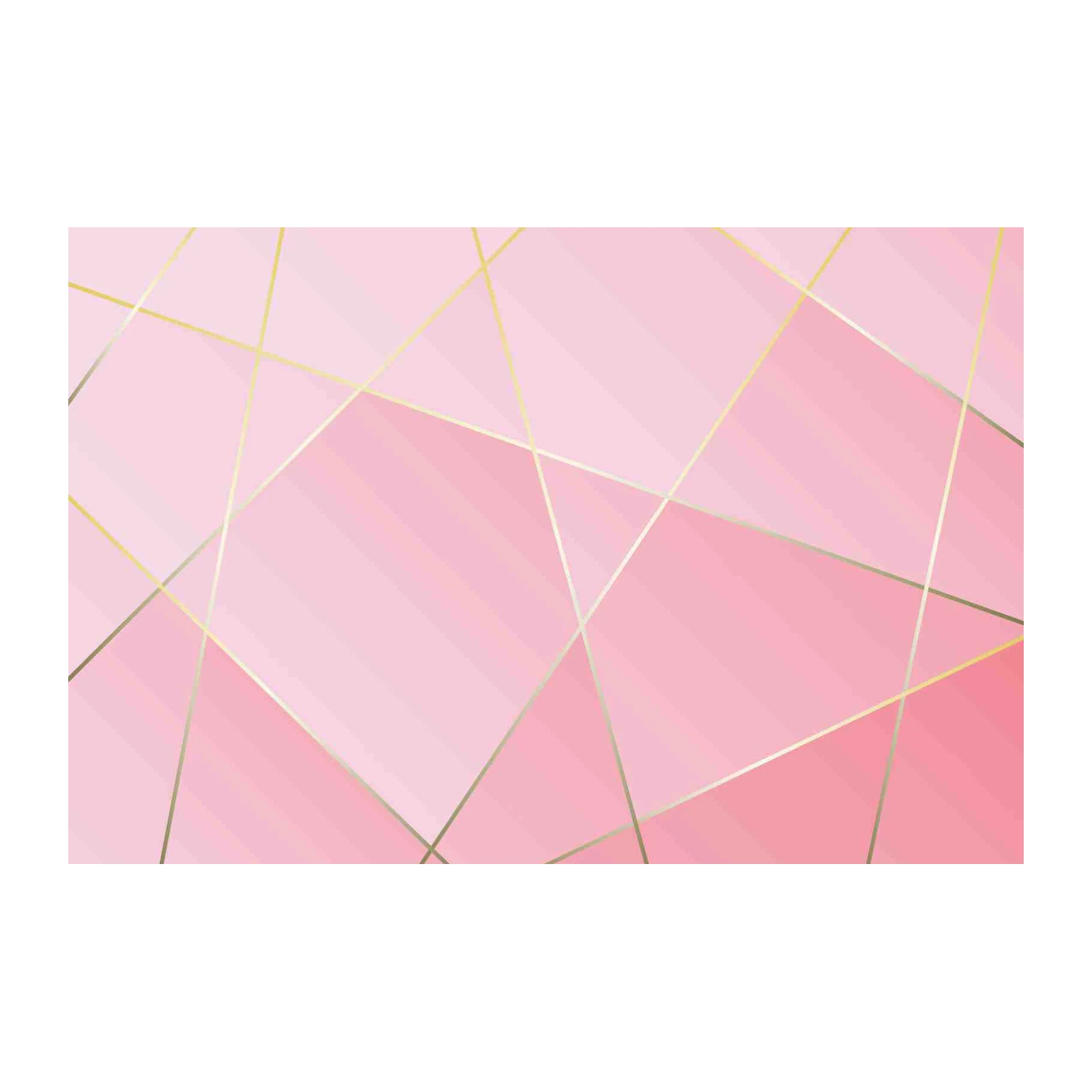 Elegant Pink Geometric Gold Line Art Wall Art
