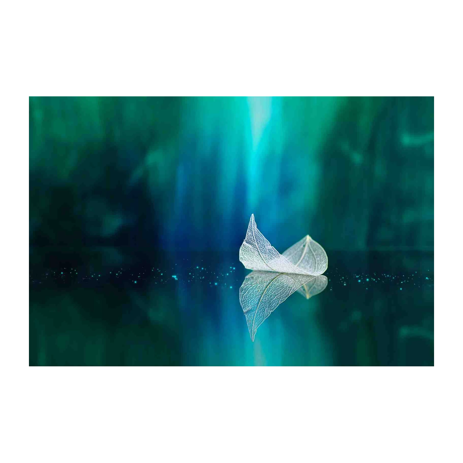 Ethereal Skeleton Leaf Reflection Wall Art