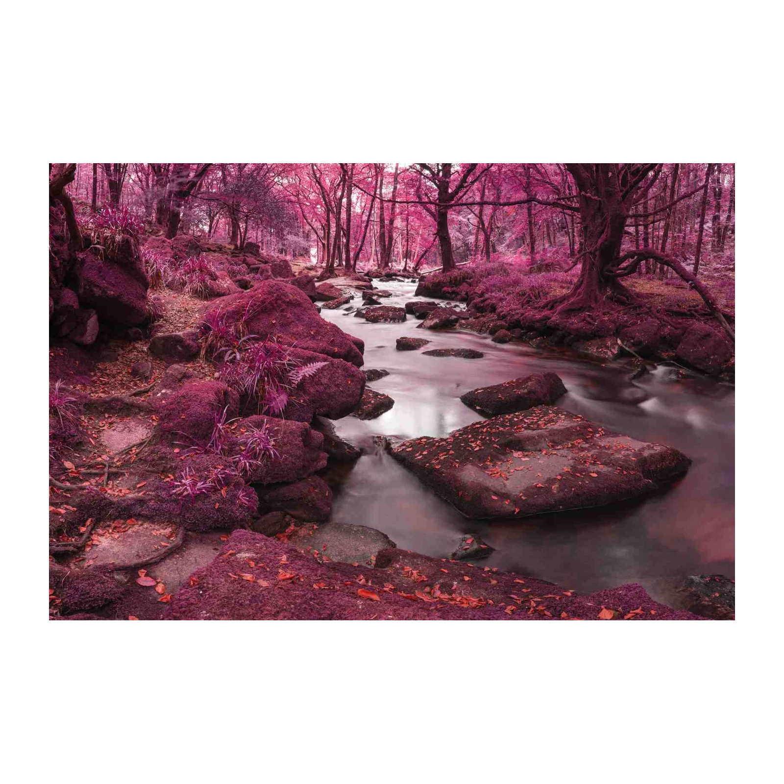 Enchanting Pink Forest River Wall Art