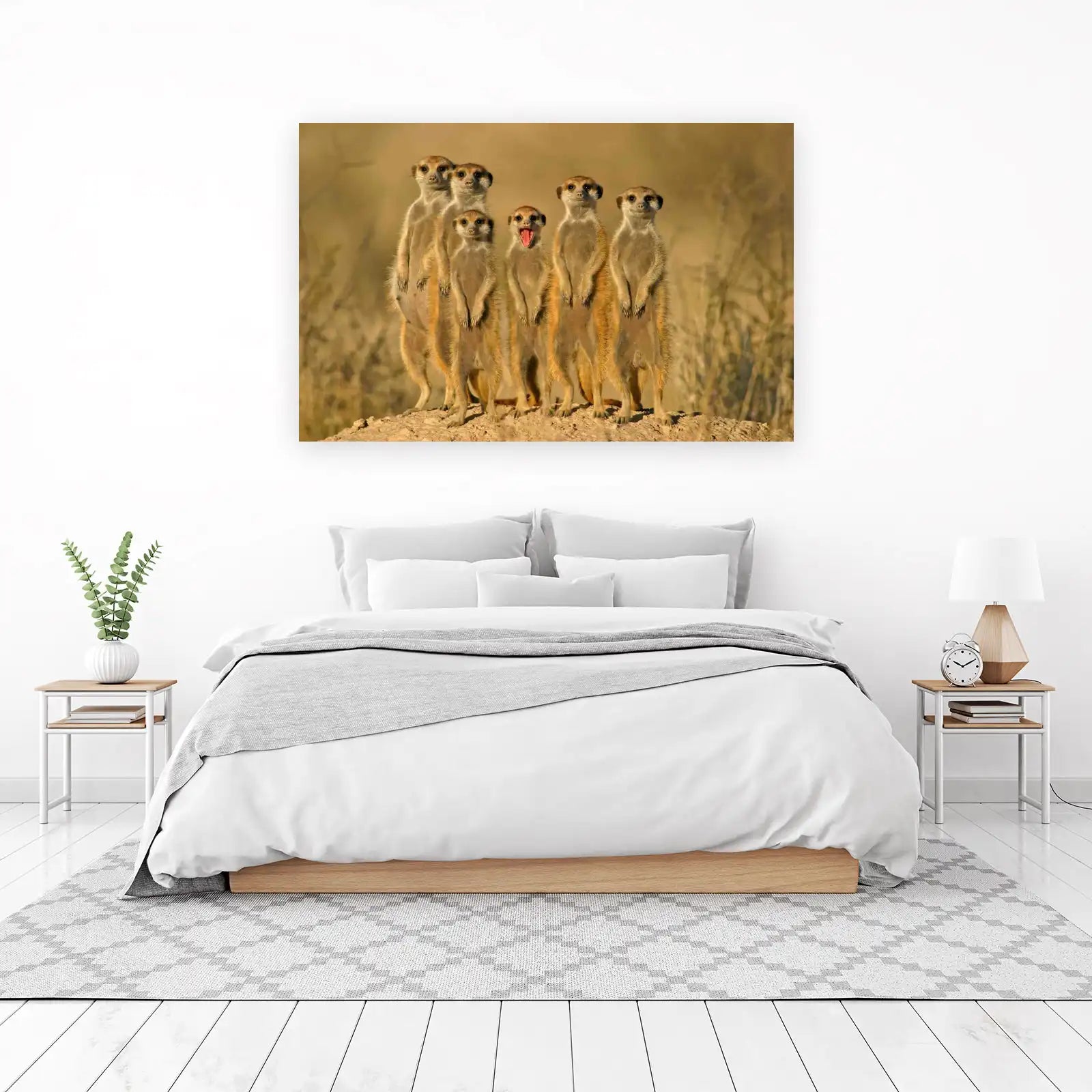 Playful Meerkat Family Wildlife Wall Art