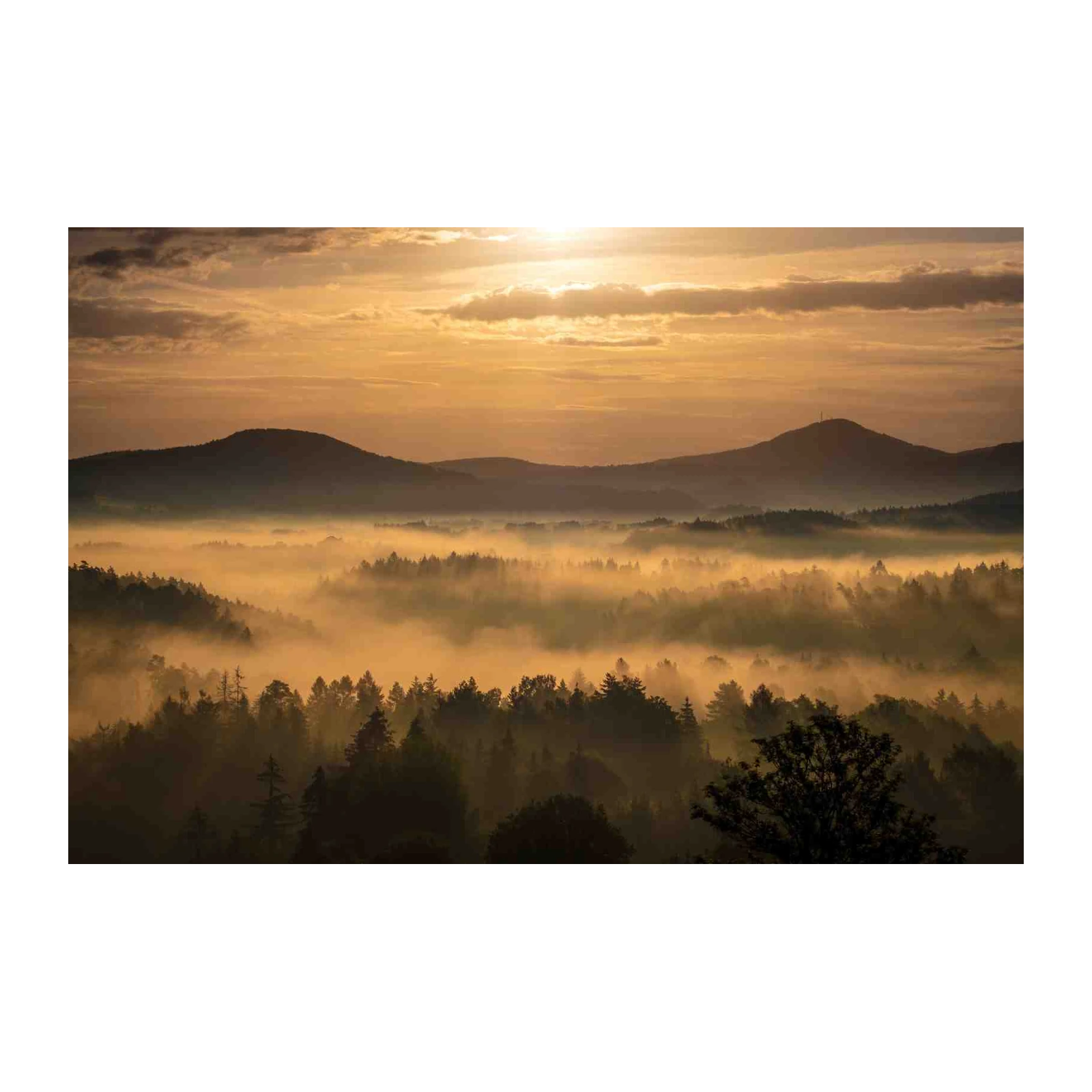 Misty Mountain Sunrise Forest Wall Art