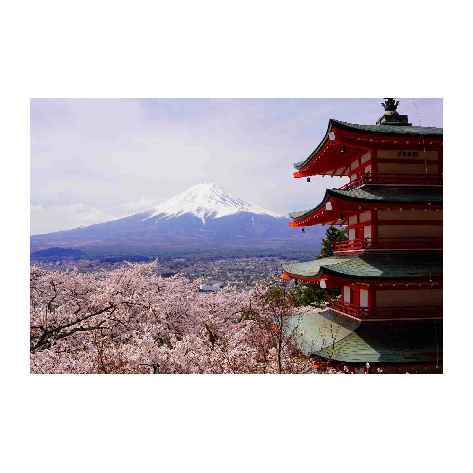 Serene Fuji & Pagoda Cherry Blossom Wall Art