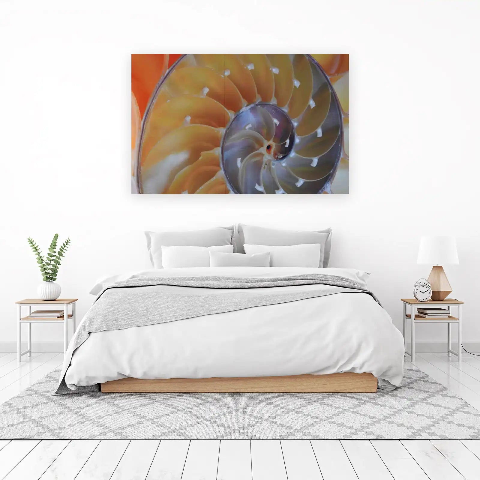 Nautilus Shell Spiral Abstract Wall Art