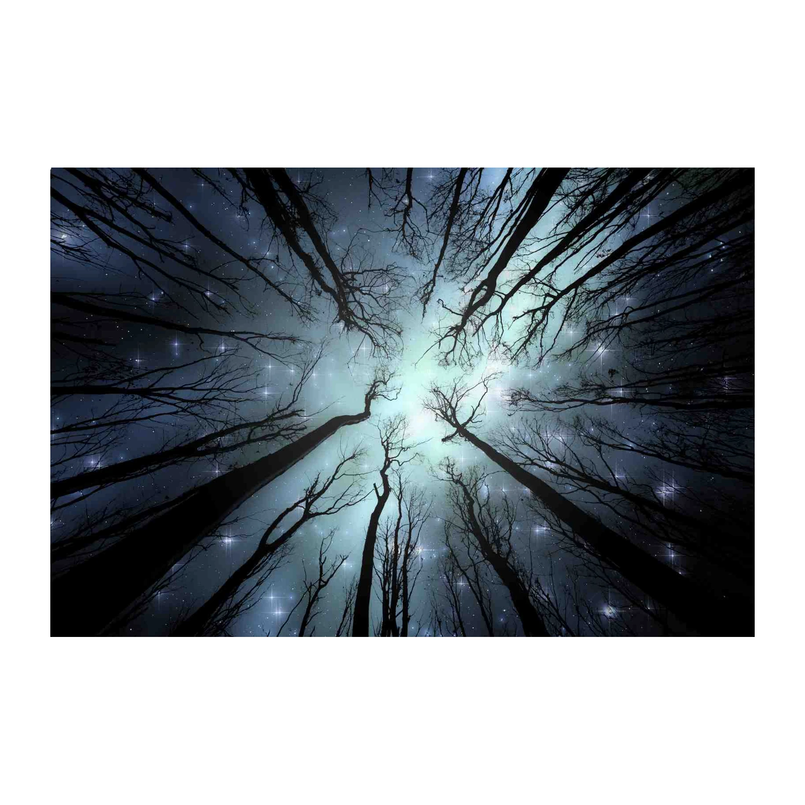 Mystical Starry Forest Canopy Wall Art
