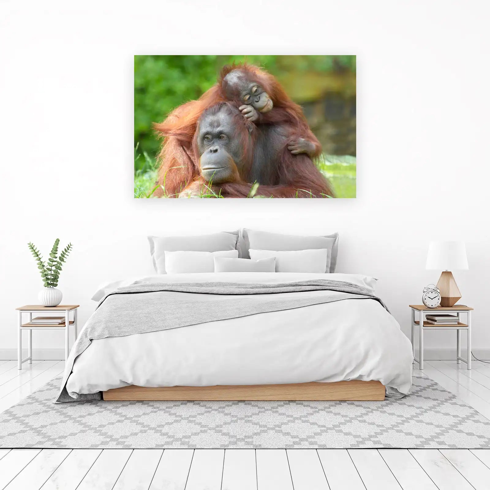 Gentle Orangutan Embrace Wall Art Wall Art