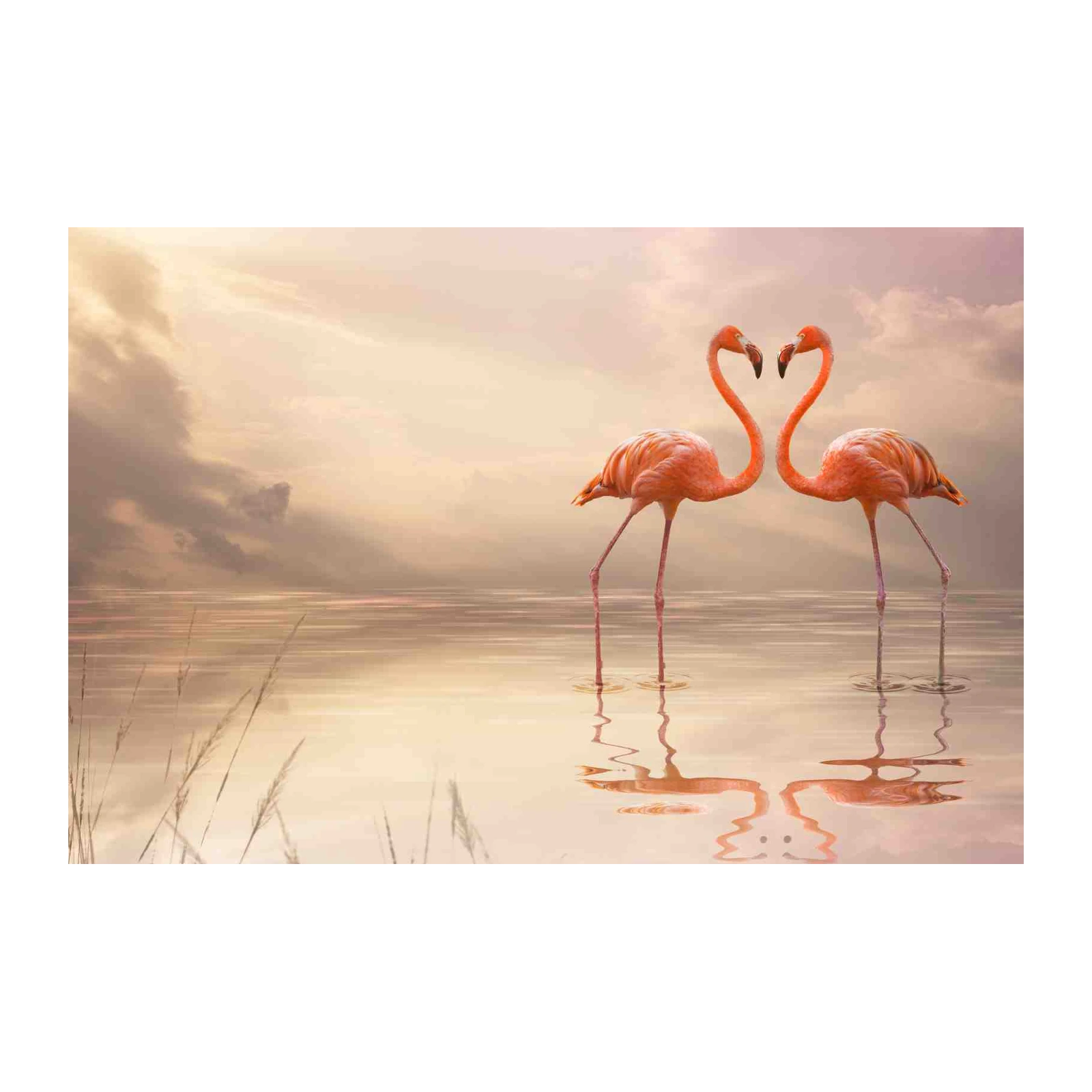 Romantic Flamingos Heart Couple Wall Art