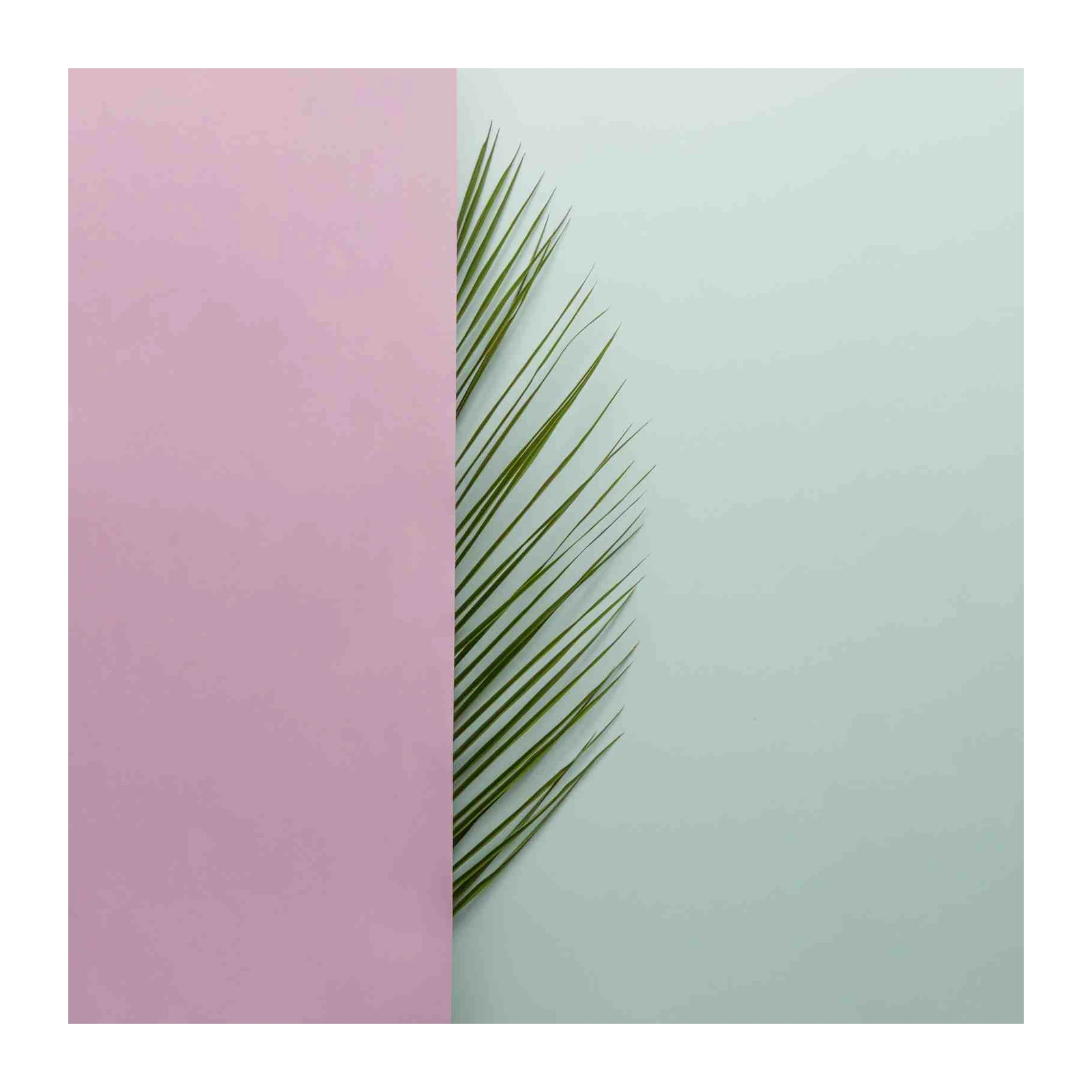 Minimalist Palm Frond Pastel Wall Art