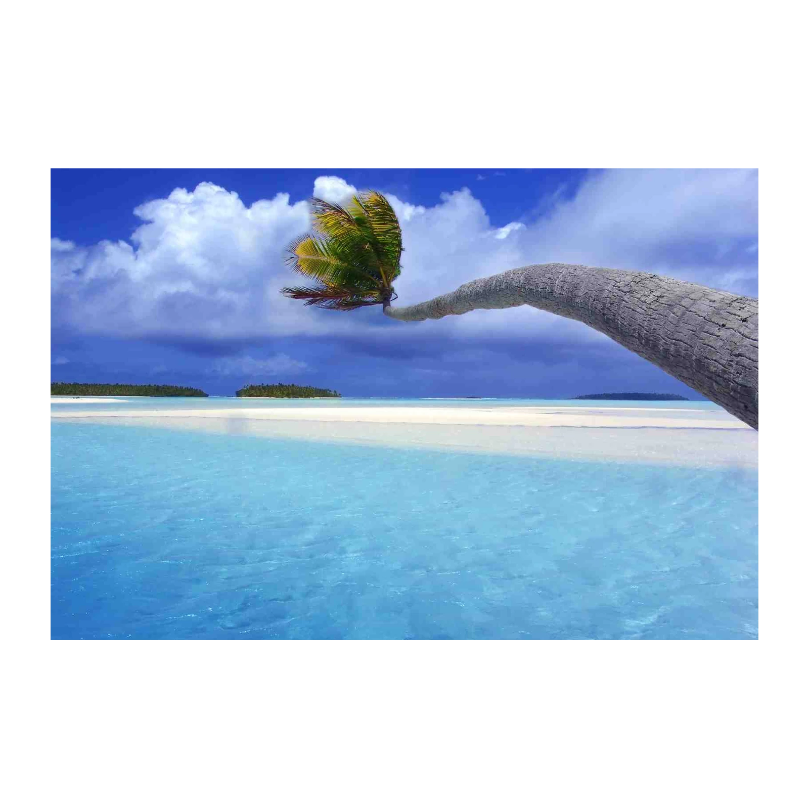 Tranquil Palm Tree Paradise Beach Wall Art
