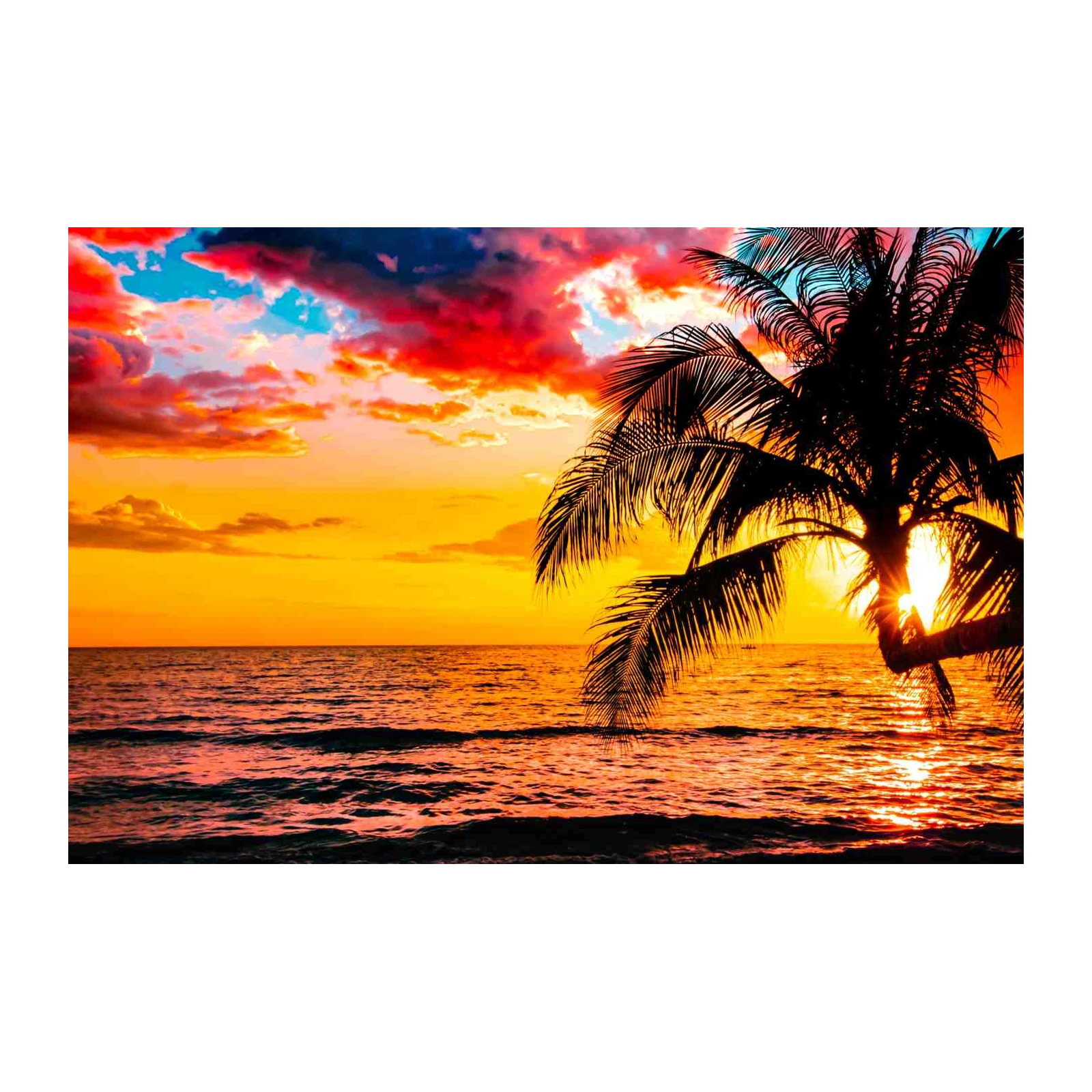 Vibrant Tropical Sunset Palm Tree Wall Art