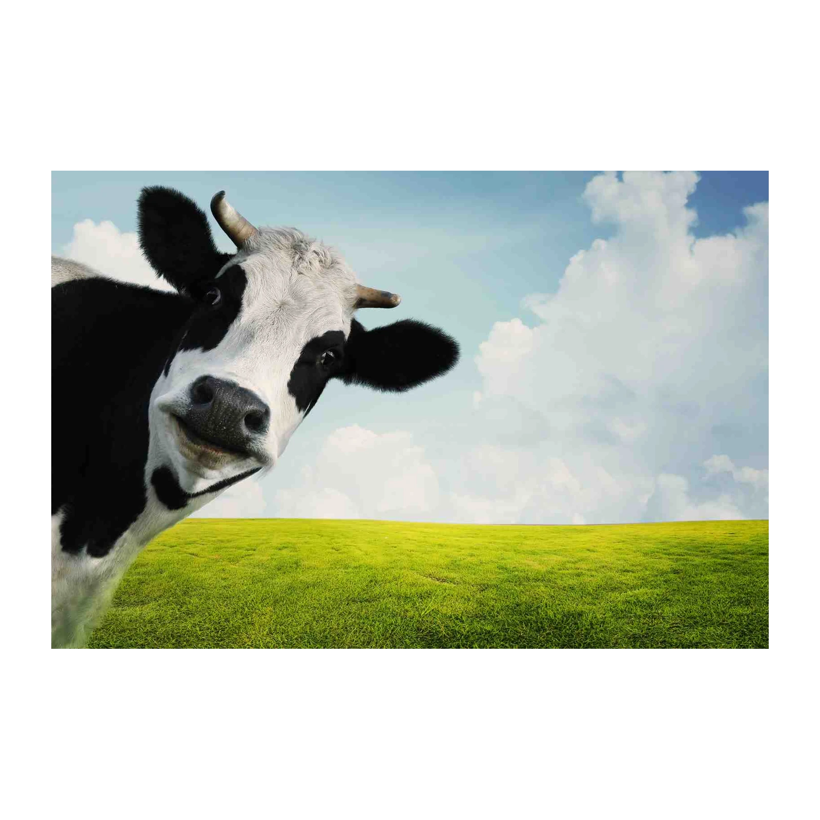 Whimsical Cow Meadow Sky Wall Art