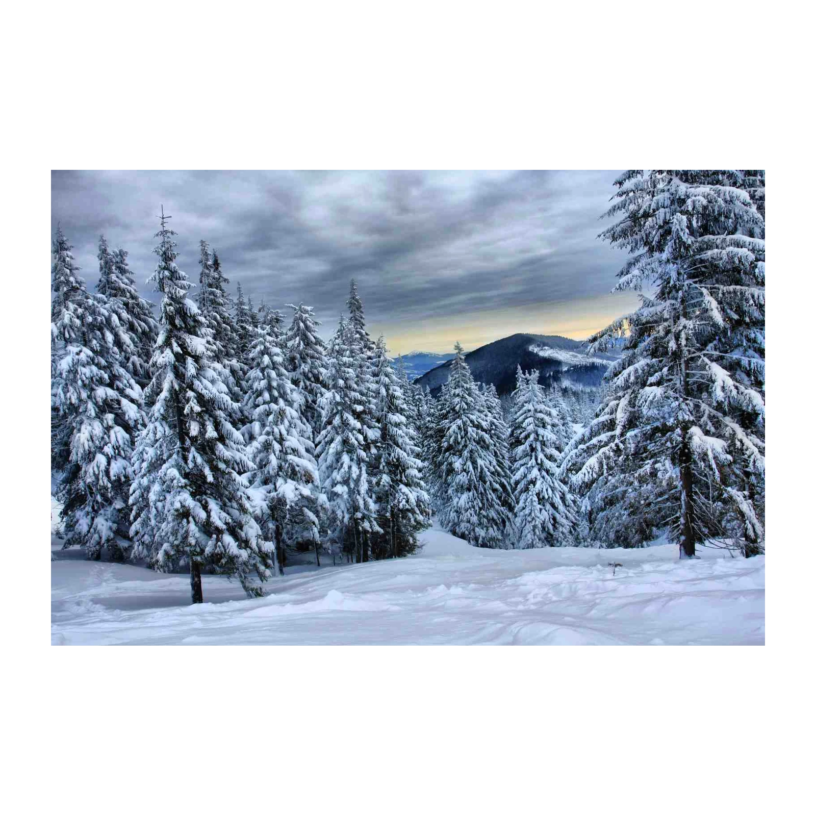 Snowy Forest Mountain Serenity Wall Art