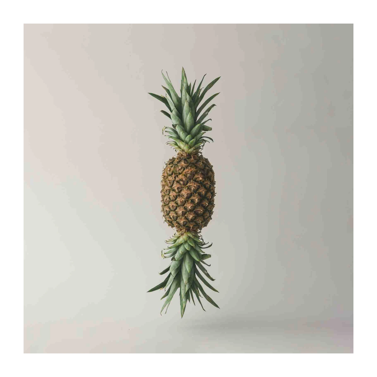 Surreal Pineapple Duo Wall Art