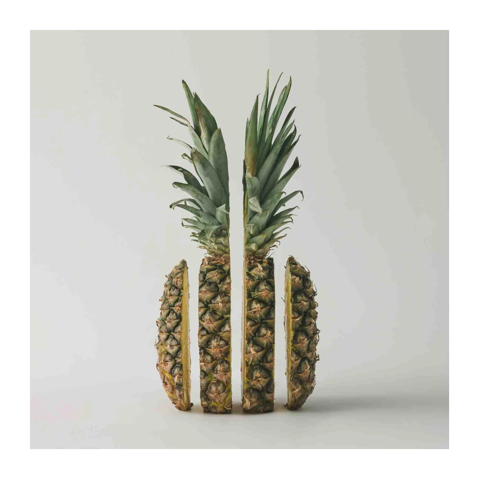 Abstract Pineapple Slices Wall Art