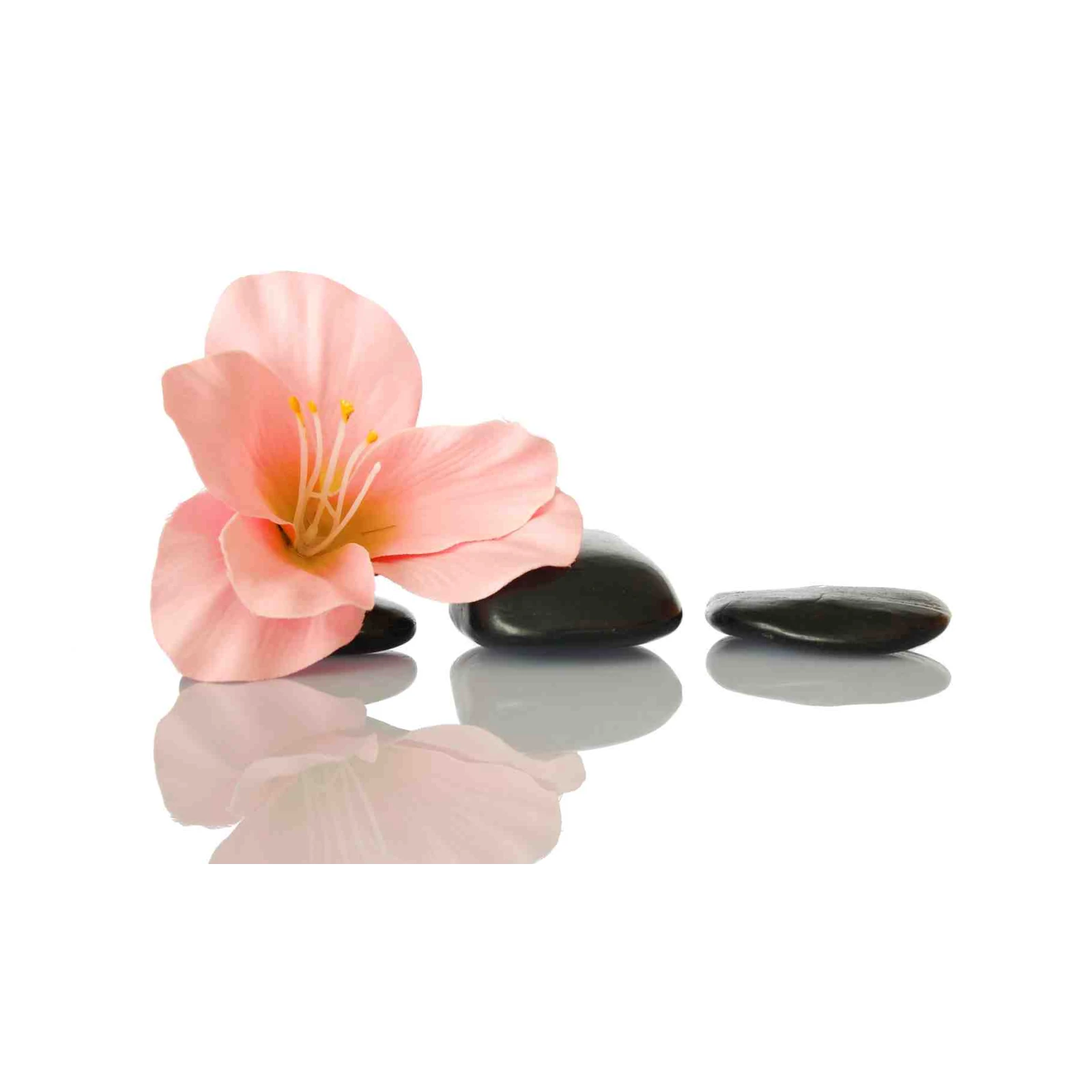 Serene Pink Lily & Zen Stones Wall Art