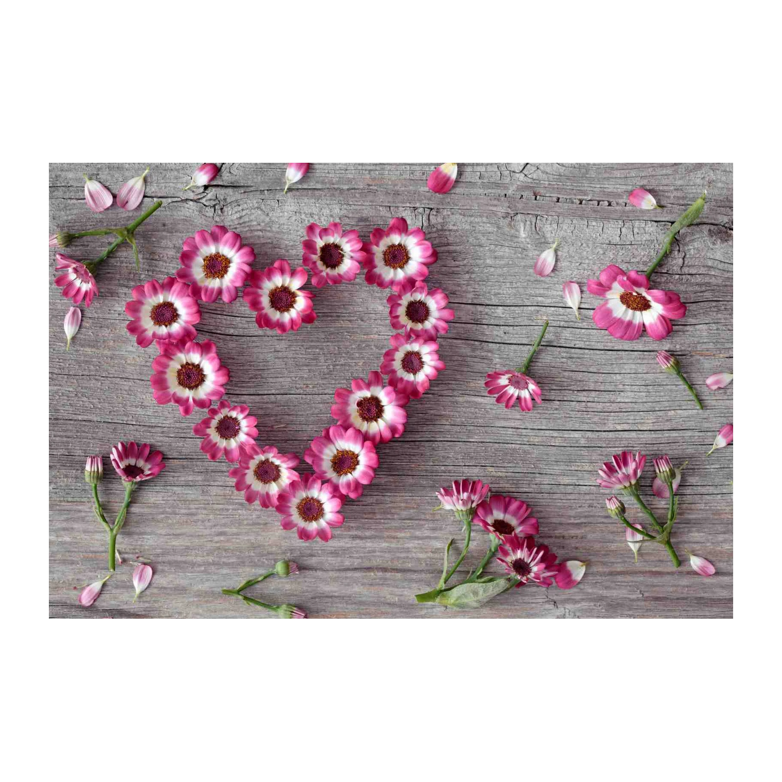 Pink Daisy Heart Floral Wood Wall Art