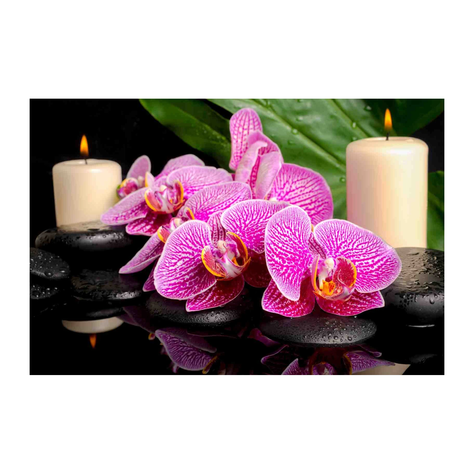 Serene Orchid & Candle Zen Wall Art