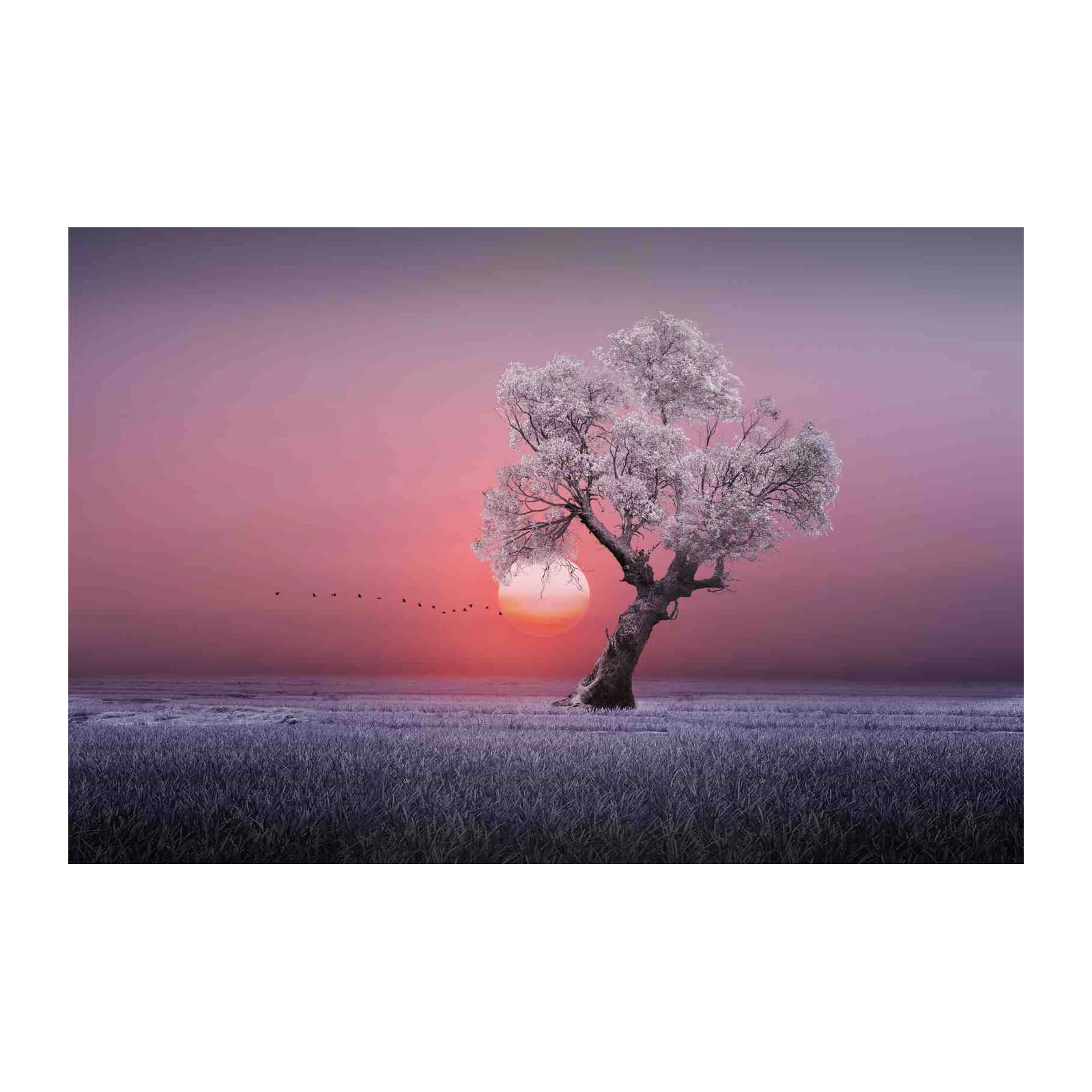 Serene Sunset Tree Landscape Wall Art