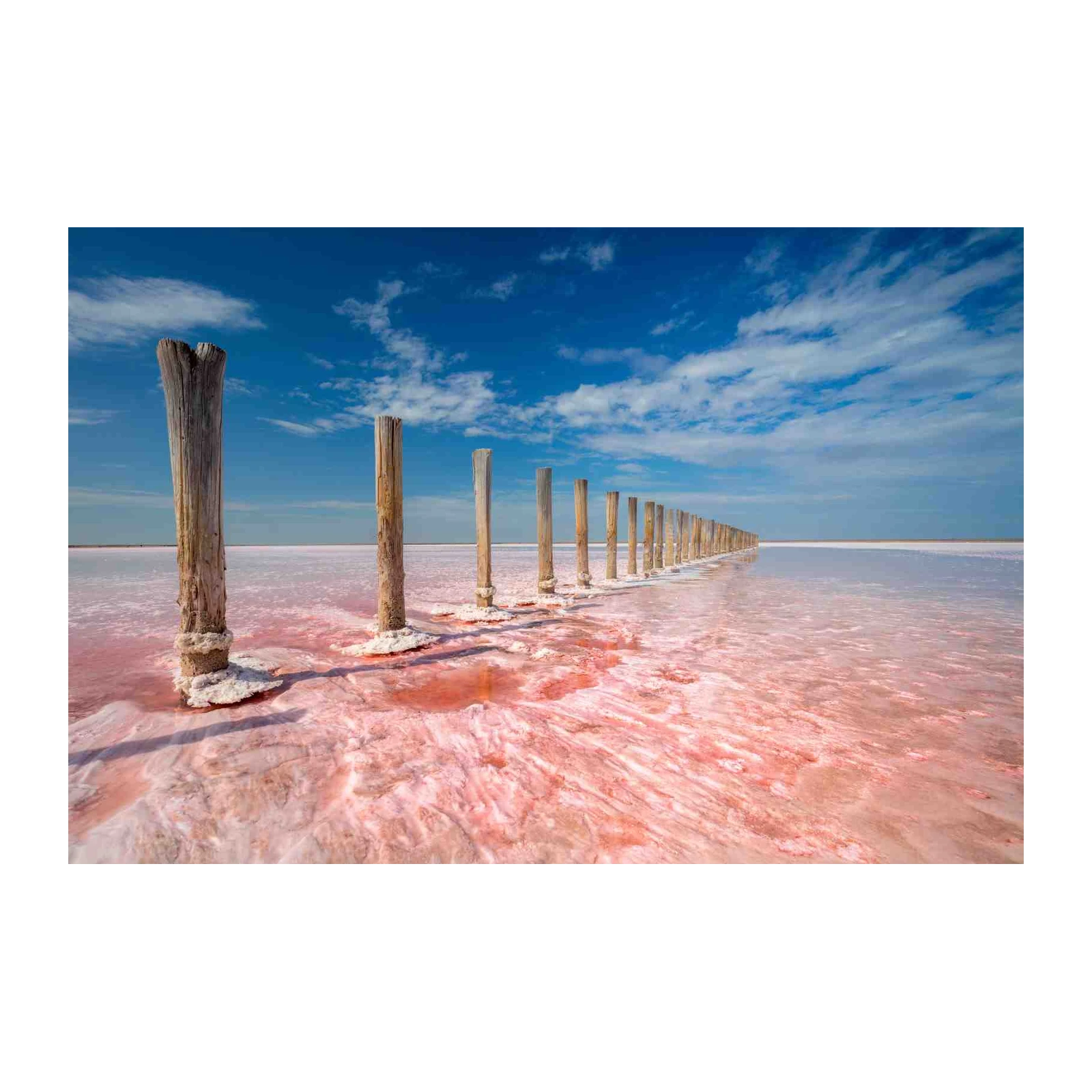 Serene Pink Salt Lake Wooden Posts Wall Art