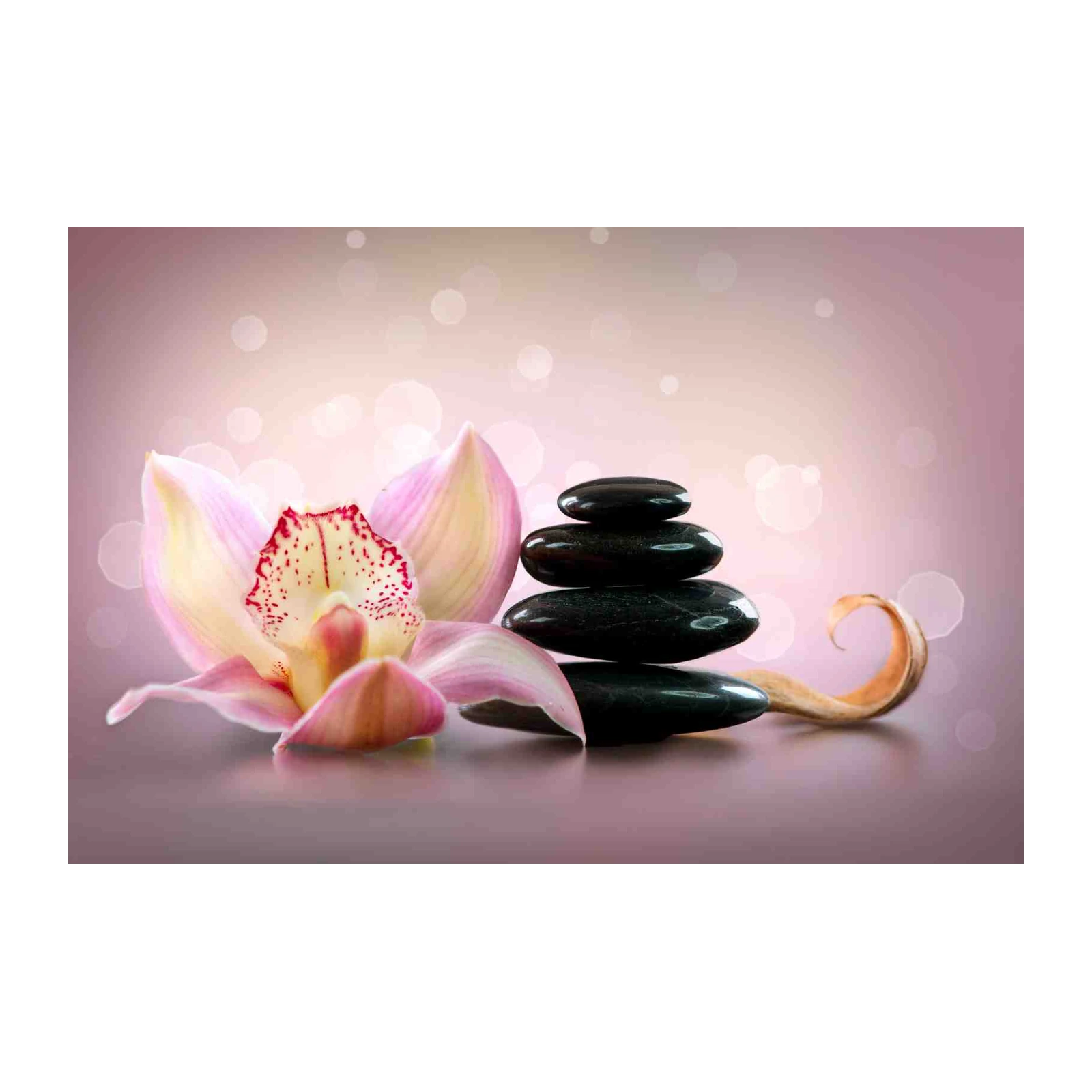 Tranquil Orchid & Zen Stones Wall Art