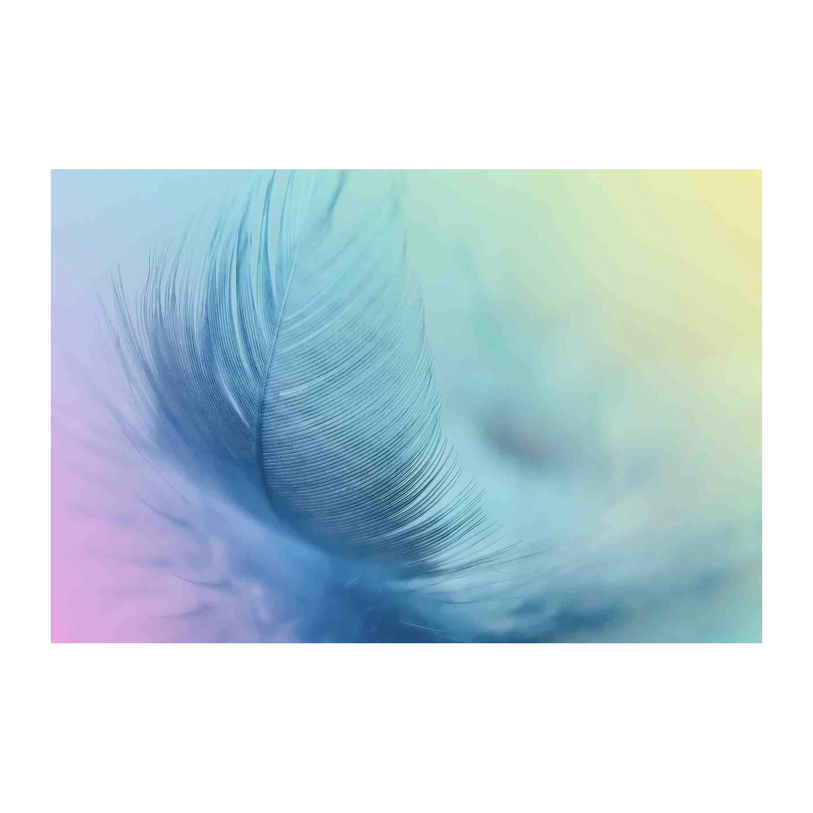 Serene Blue Feather Gradient Wall Art