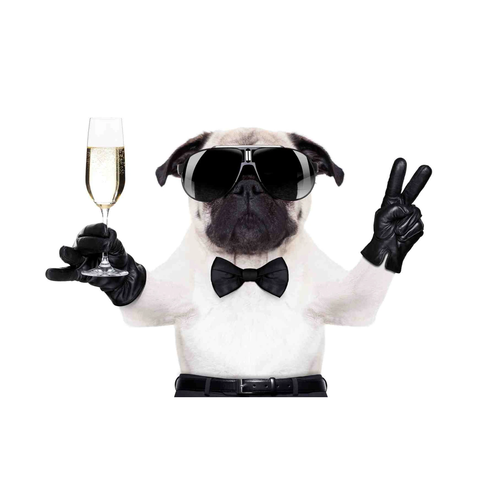 Dapper Pug with Champagne Wall Art