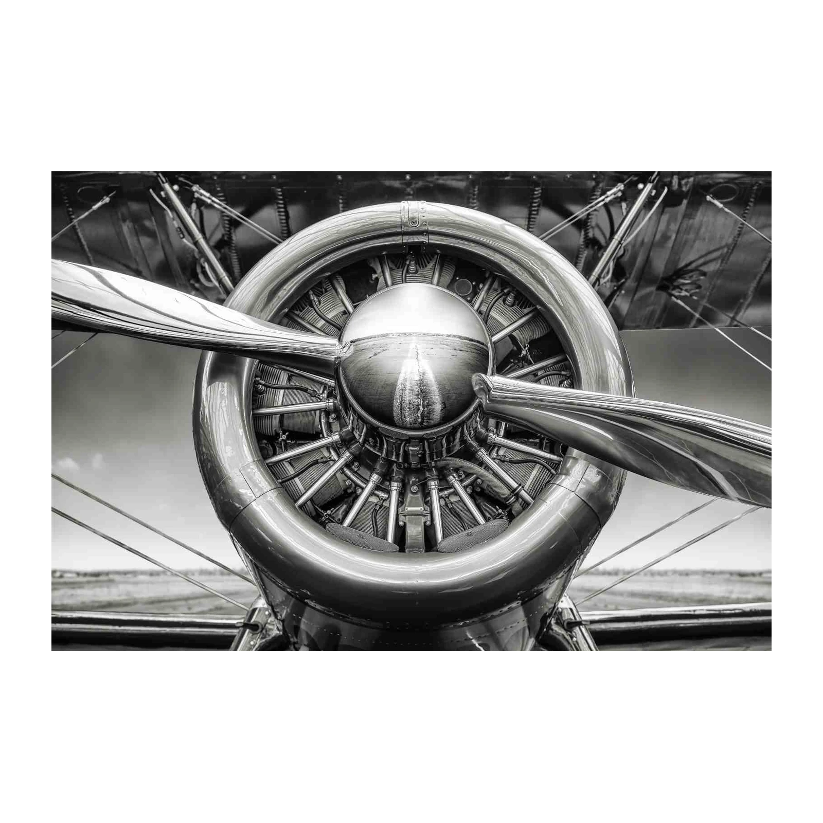 Vintage Aviation Engine Detail Wall Art