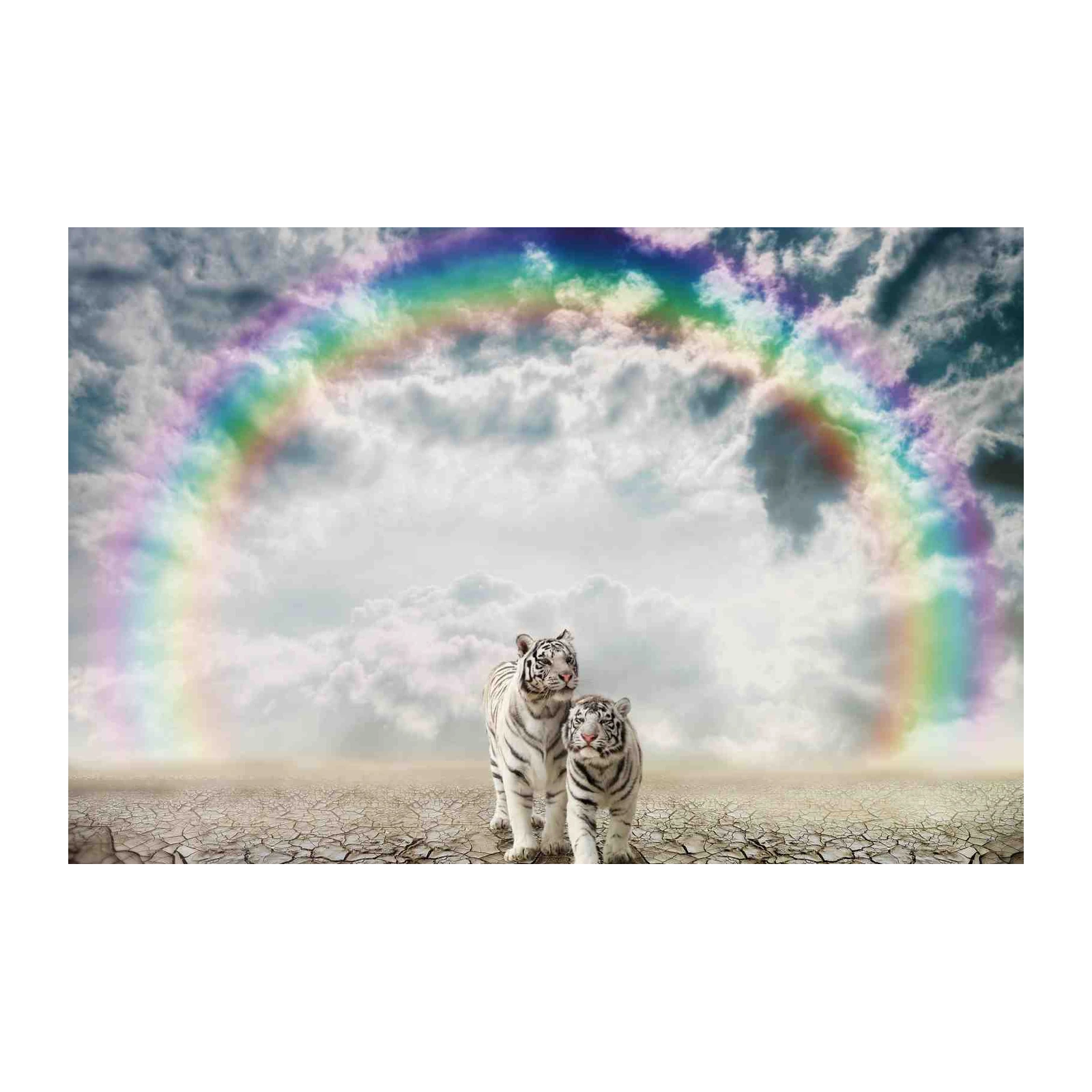 Majestic White Tigers Rainbow Aura Wall Art
