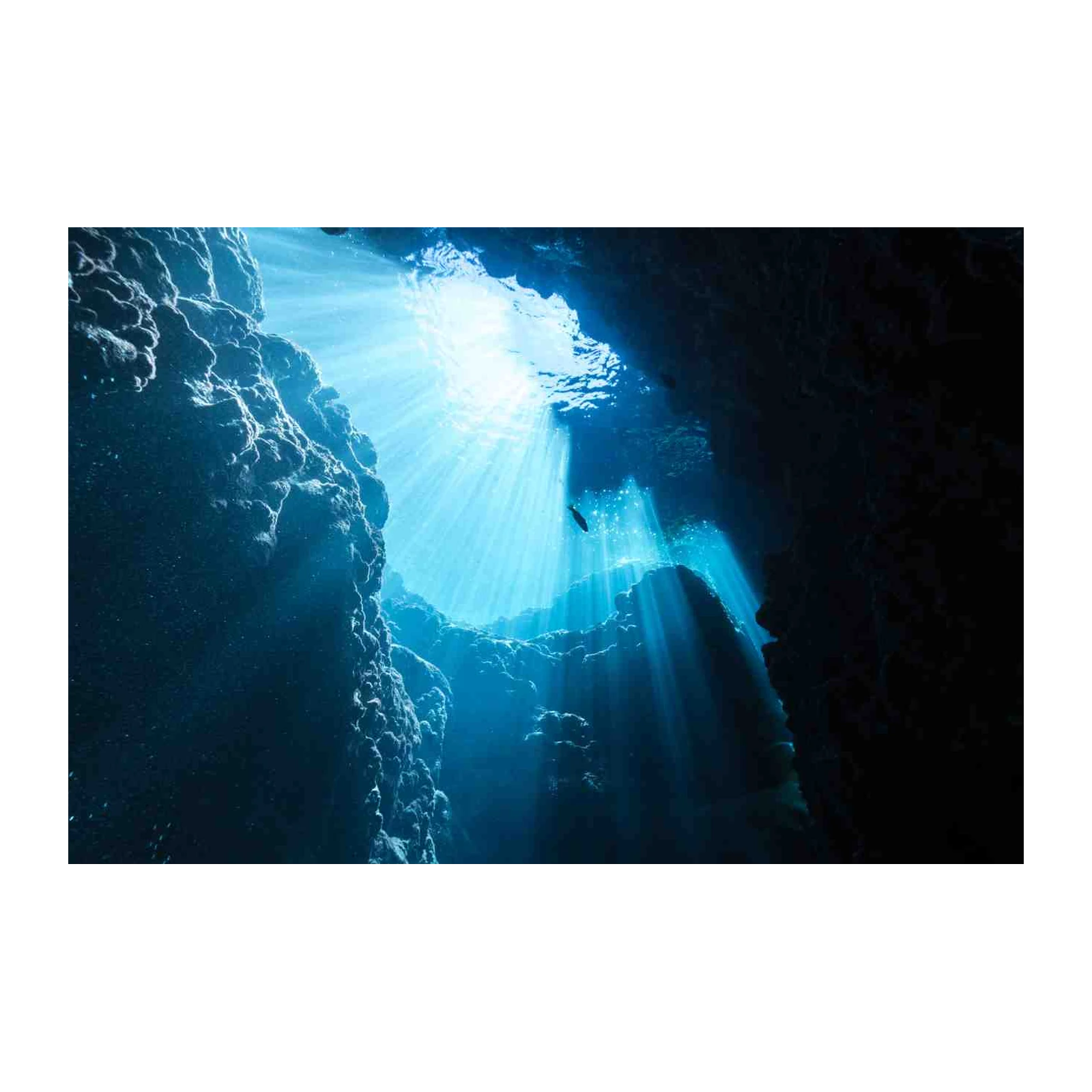 Underwater Canyon Sunbeams Wall Art