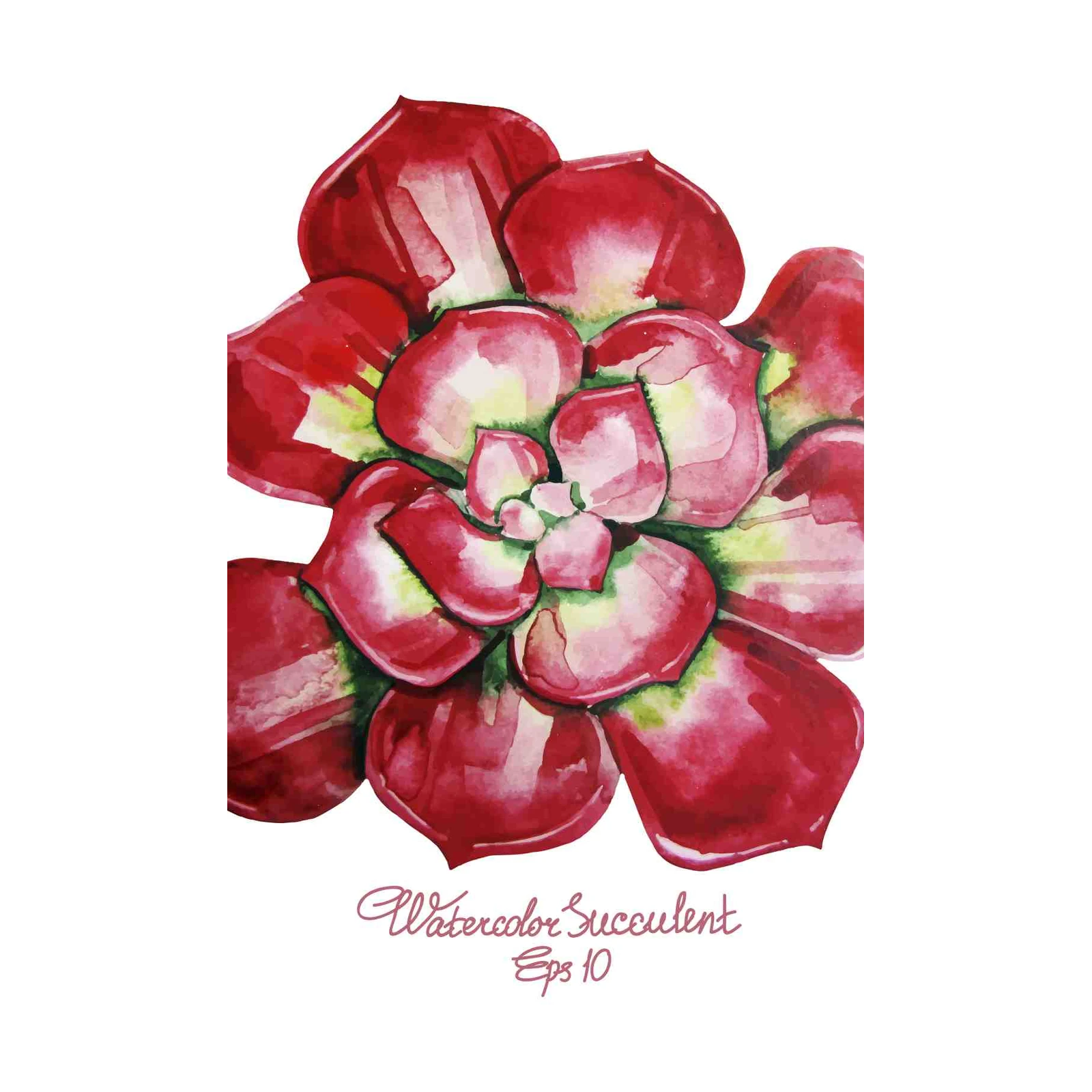 Vibrant Red Succulent Watercolor Wall Art