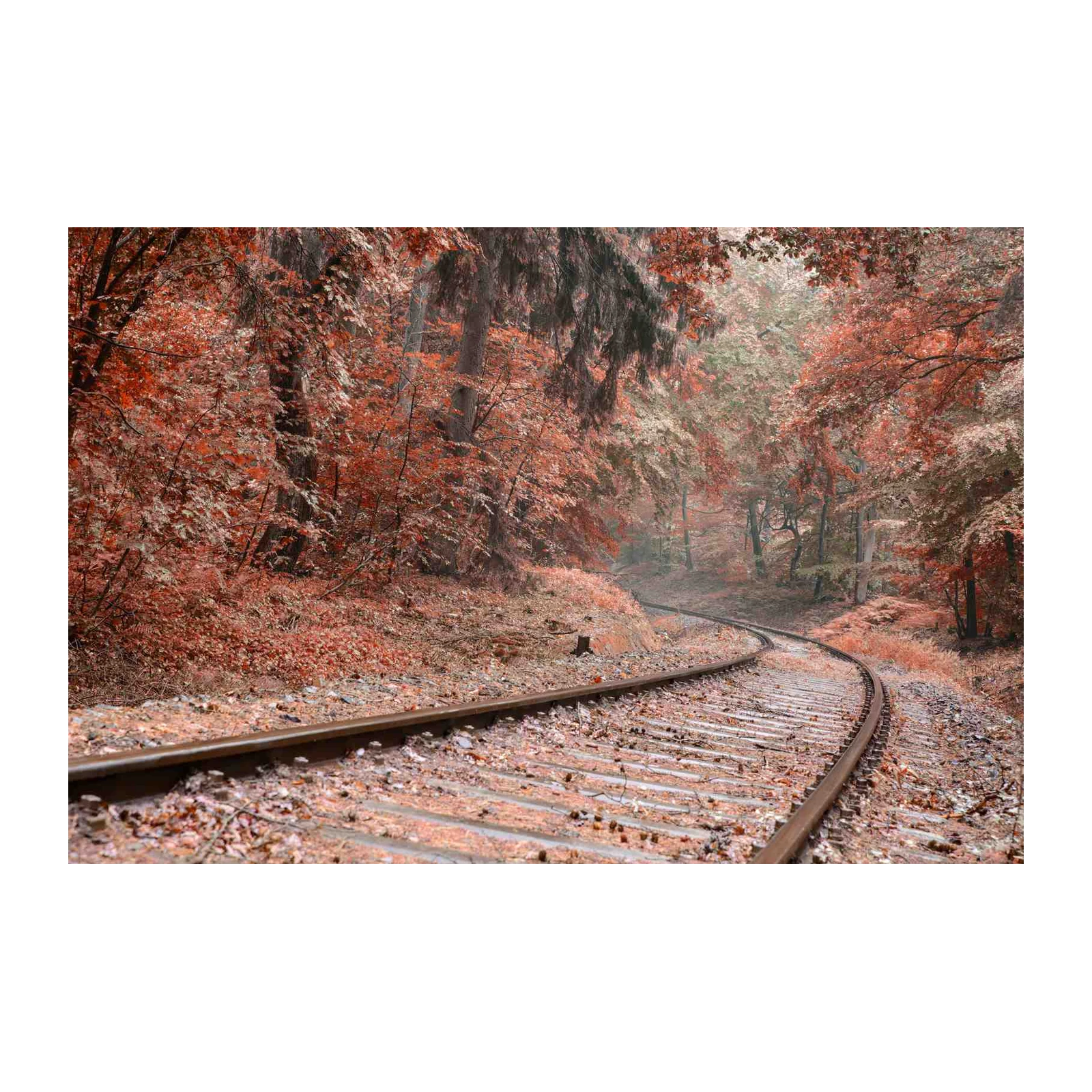 Autumn Train Tracks Wall Art