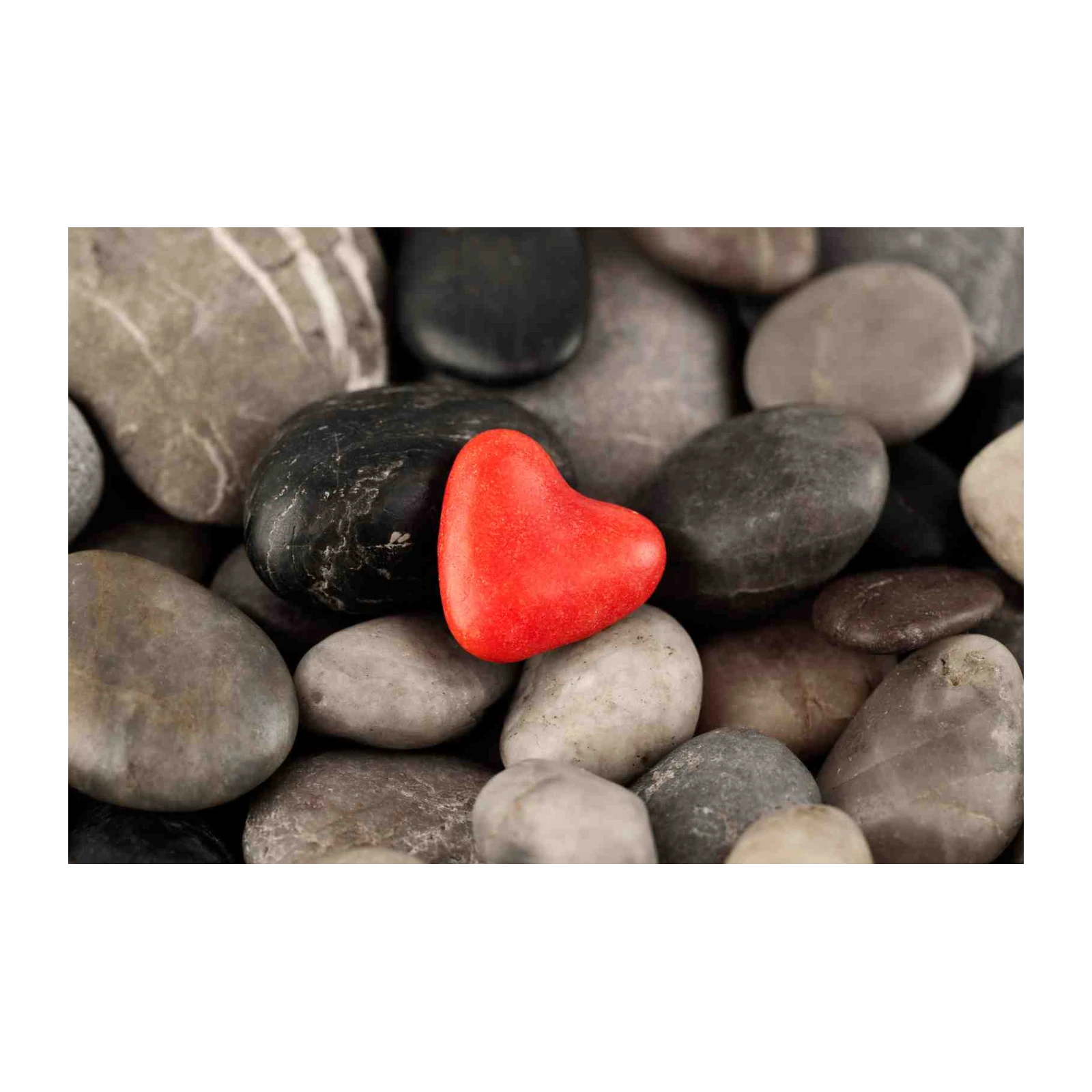 Vibrant Heart Serenity Zen Garden Wall Art