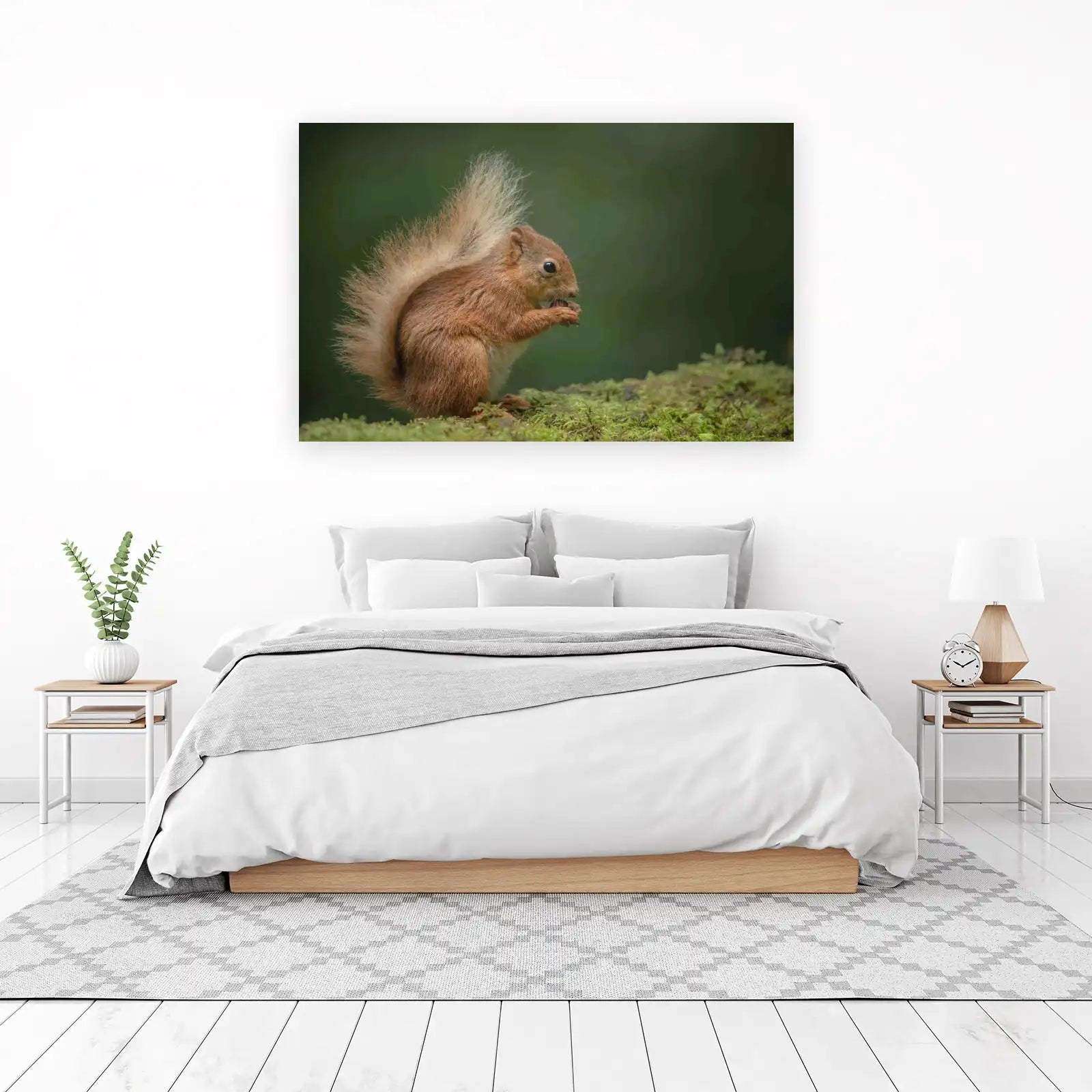 Adorable Red Squirrel Wildlife Art Wall Art
