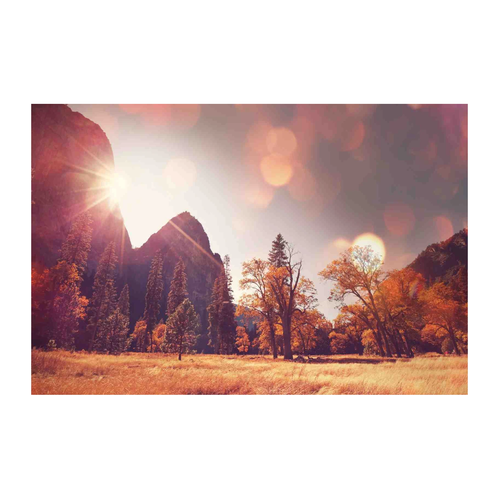 Golden Yosemite Autumn Landscape Wall Art