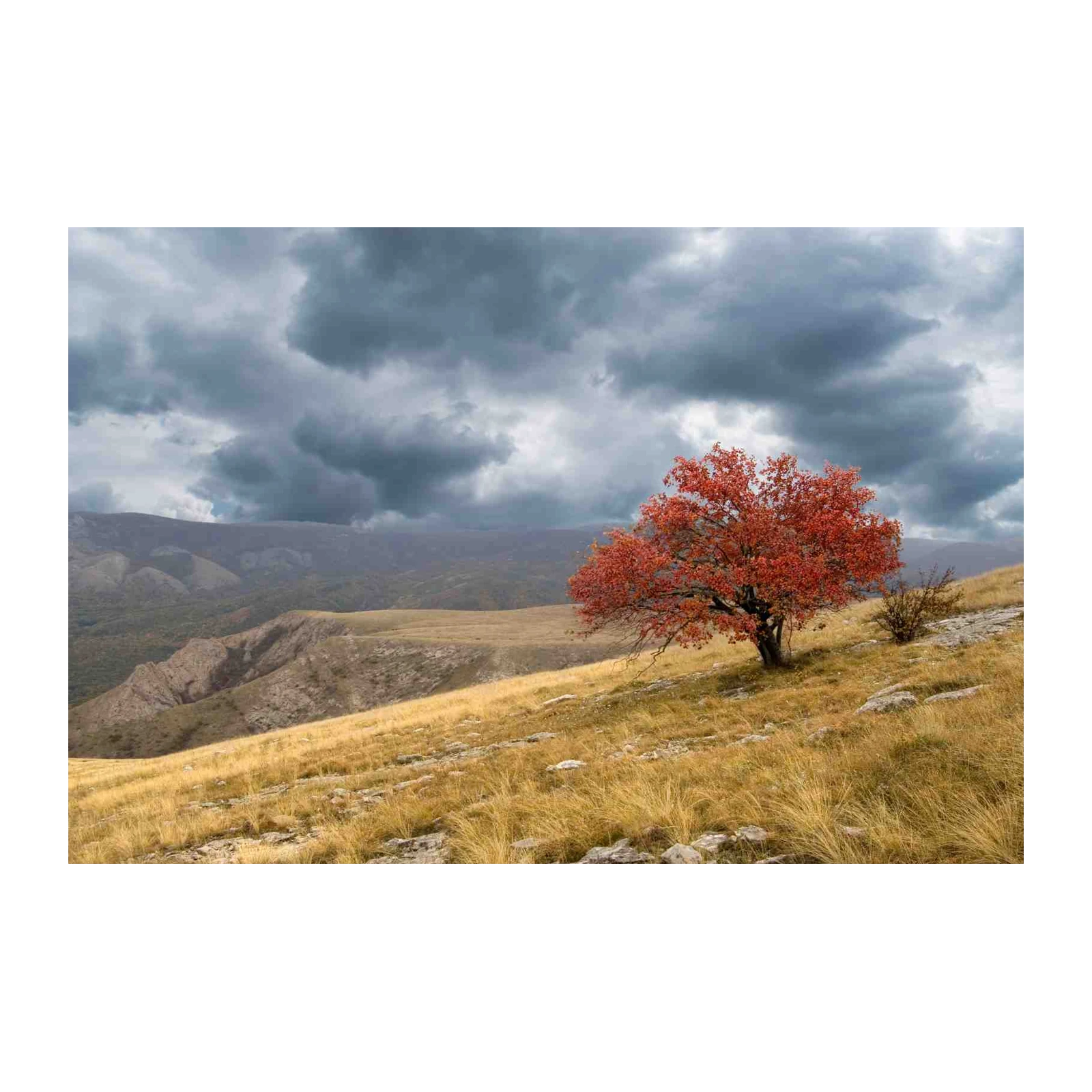 Autumn Tree Landscape Wall Art