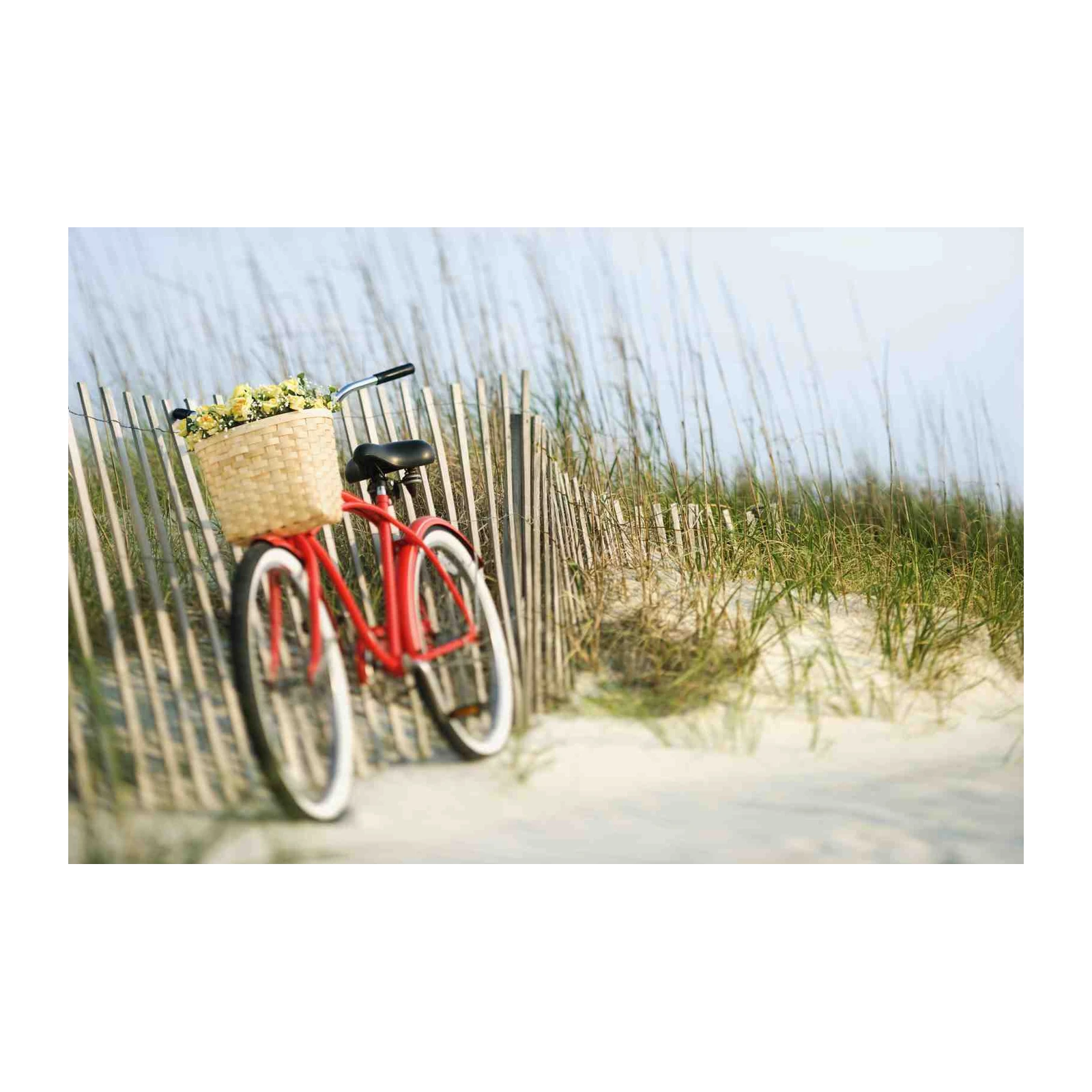 Coastal Charm Bicycle Beach Wall Art