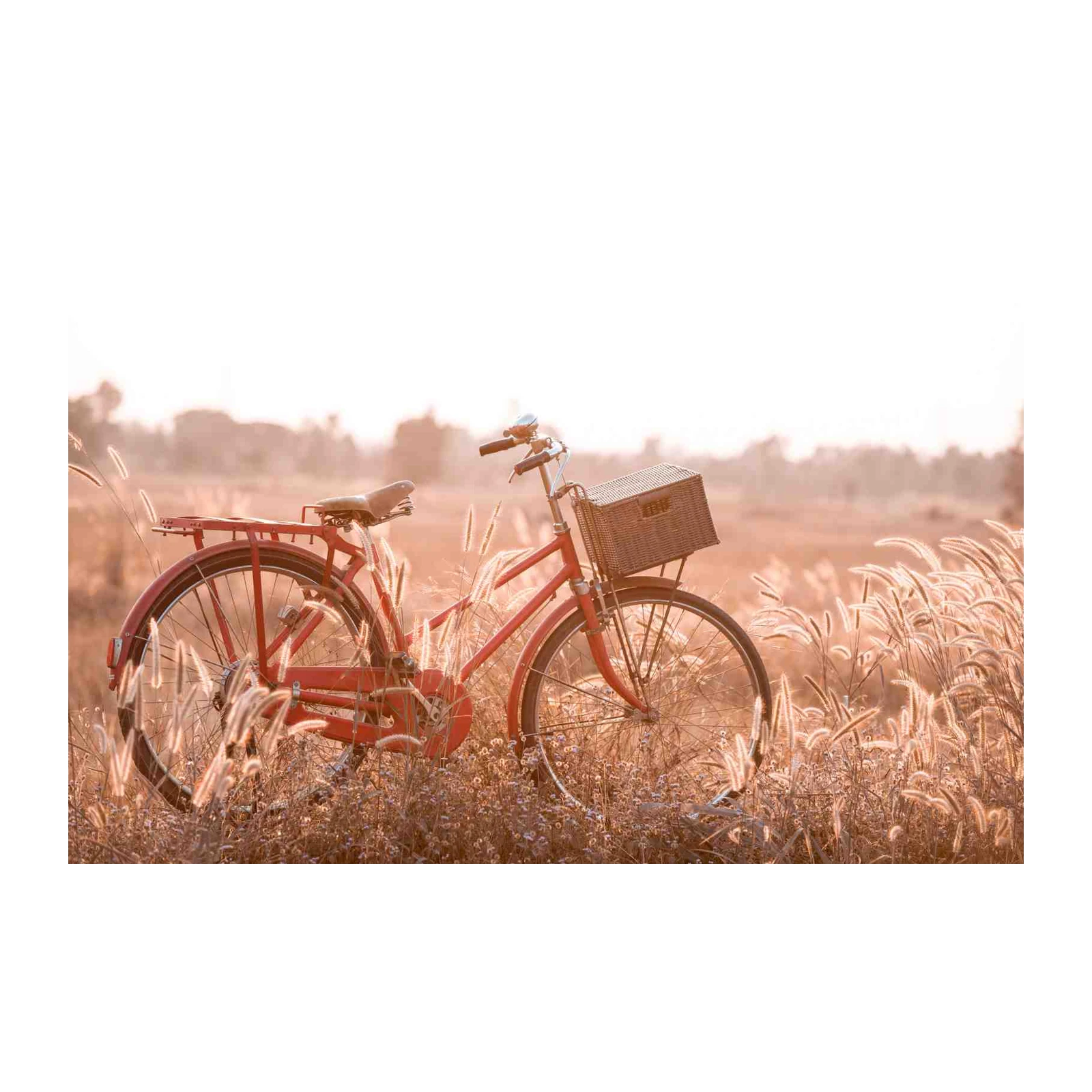Vintage Red Bicycle Field Wall Art