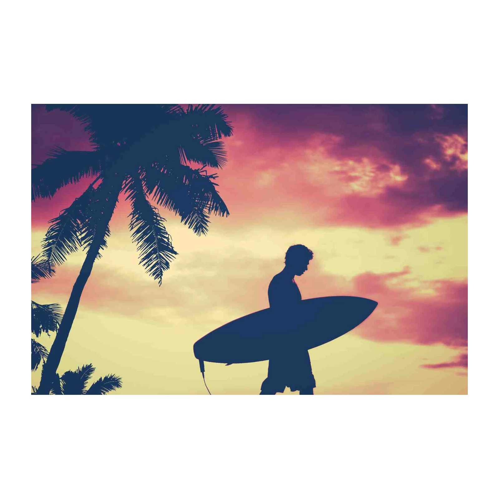 Sunset Surfer Palm Tree Wall Art
