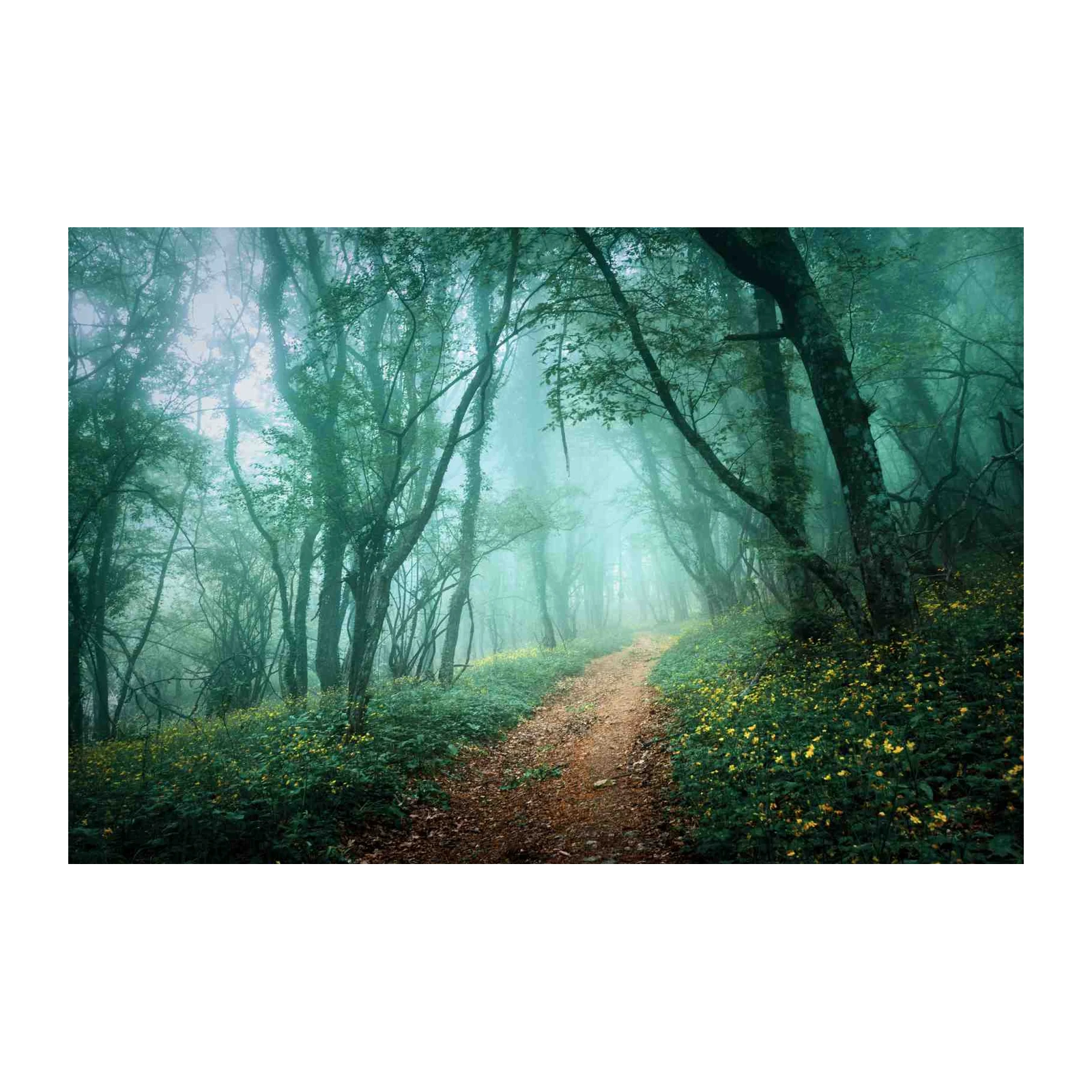 Misty Forest Path Wall Art