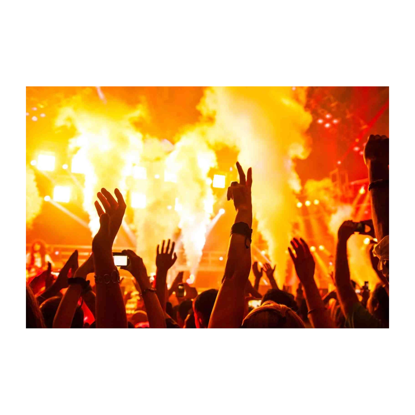 Vibrant Concert Crowd Energy Wall Art
