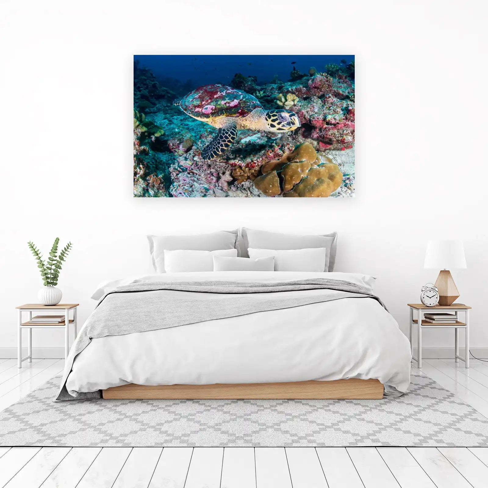 Hawksbill Turtle Coral Reef Wall Art