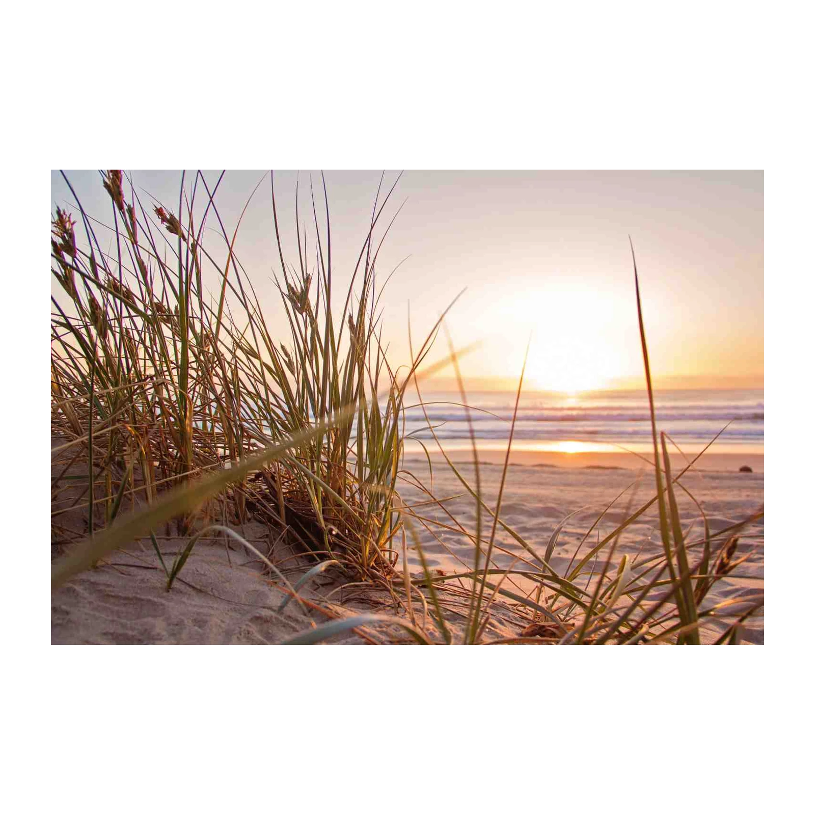 Serene Beach Grass Sunset Wall Art