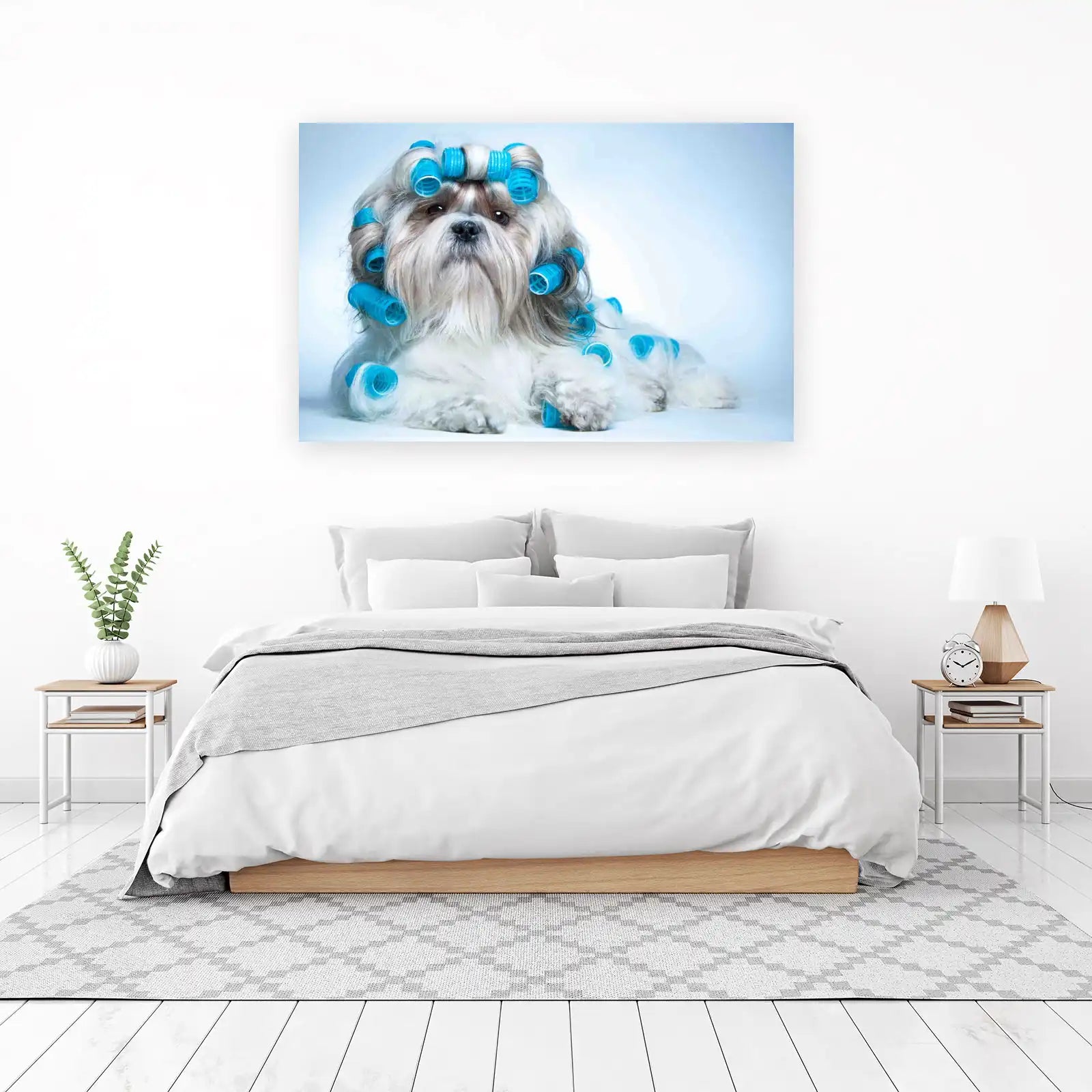 Adorable Shih Tzu Hair Rollers Wall Art