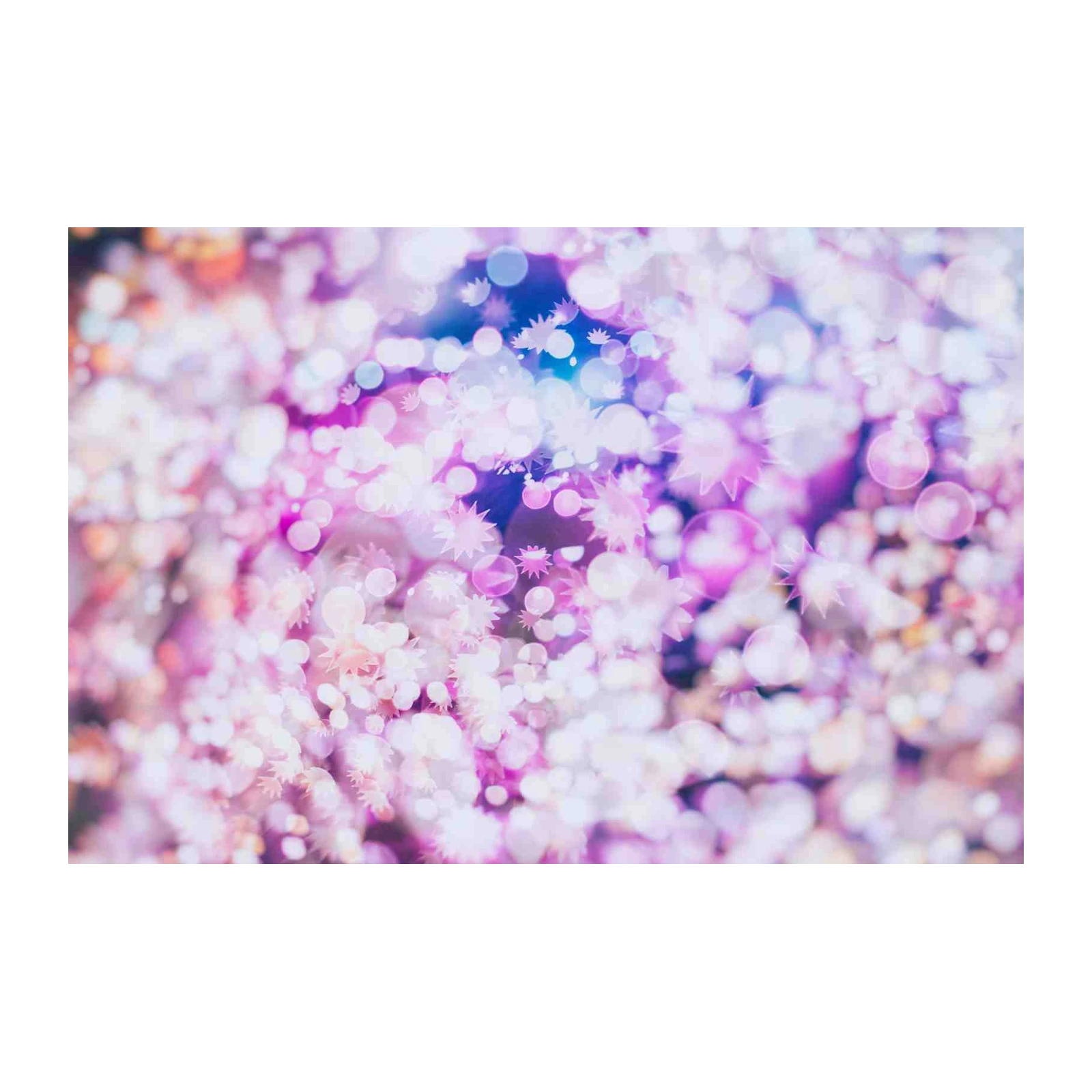 Sparkling Bokeh Dreams Wall Art